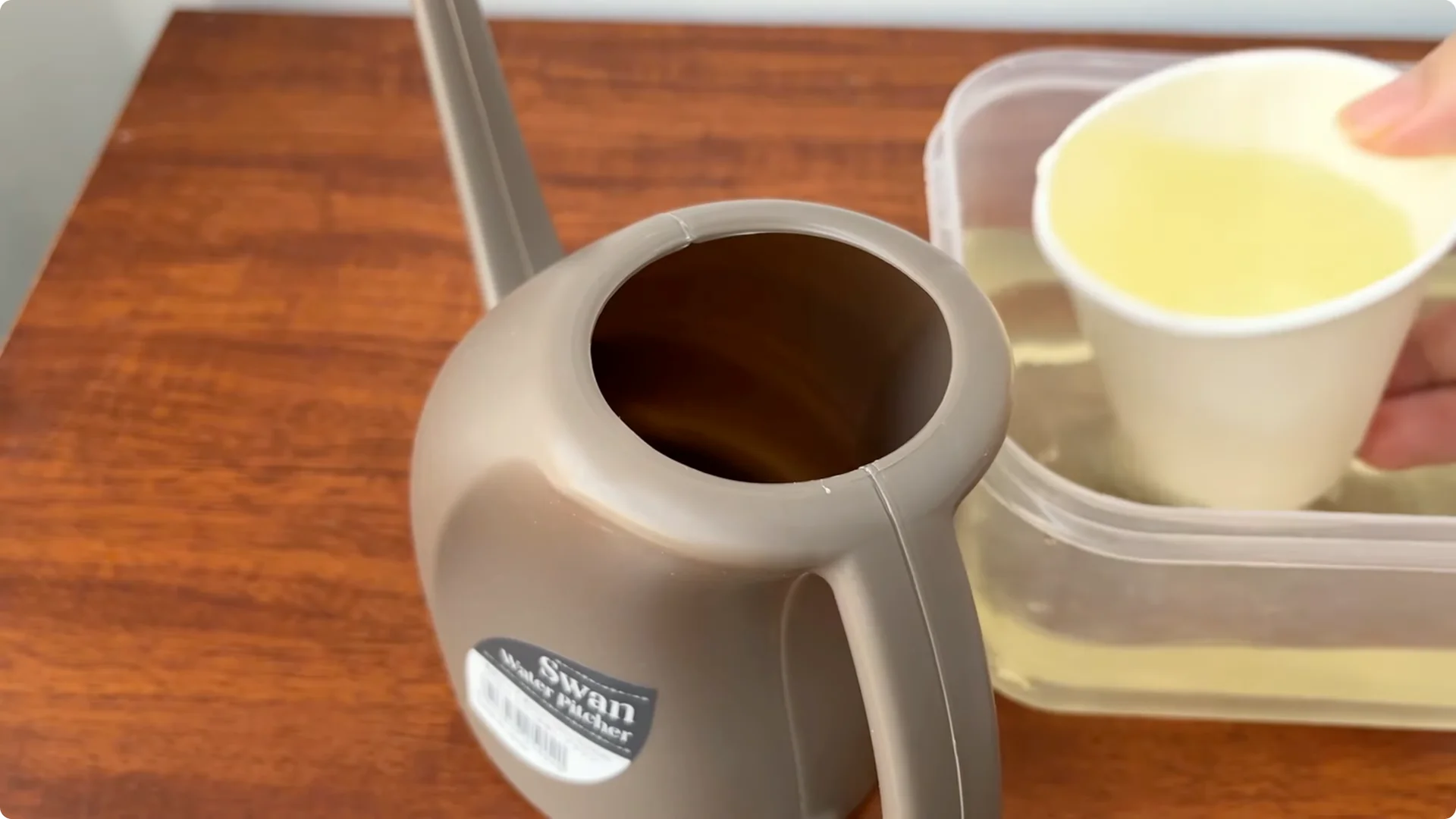 How One Piece in a Rose Pot Sparks Thriving Blooms screenshot 12