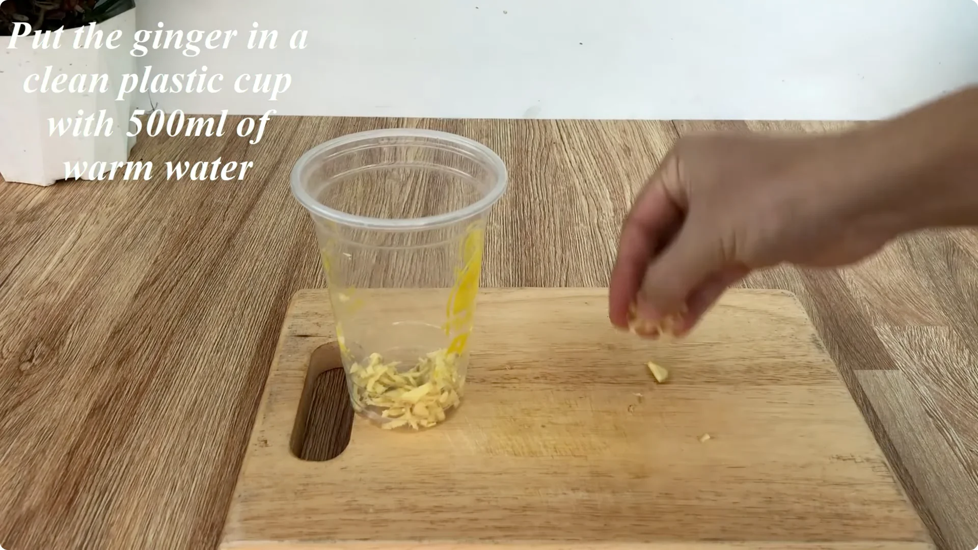 How One Simple Cup Sparks 1001 Roots and Year-Round Roses screenshot 1