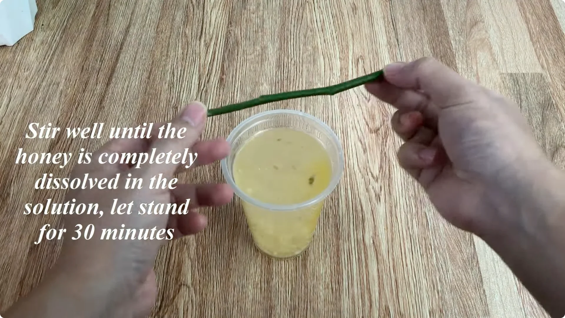 How One Simple Cup Sparks 1001 Roots and Year-Round Roses screenshot 4