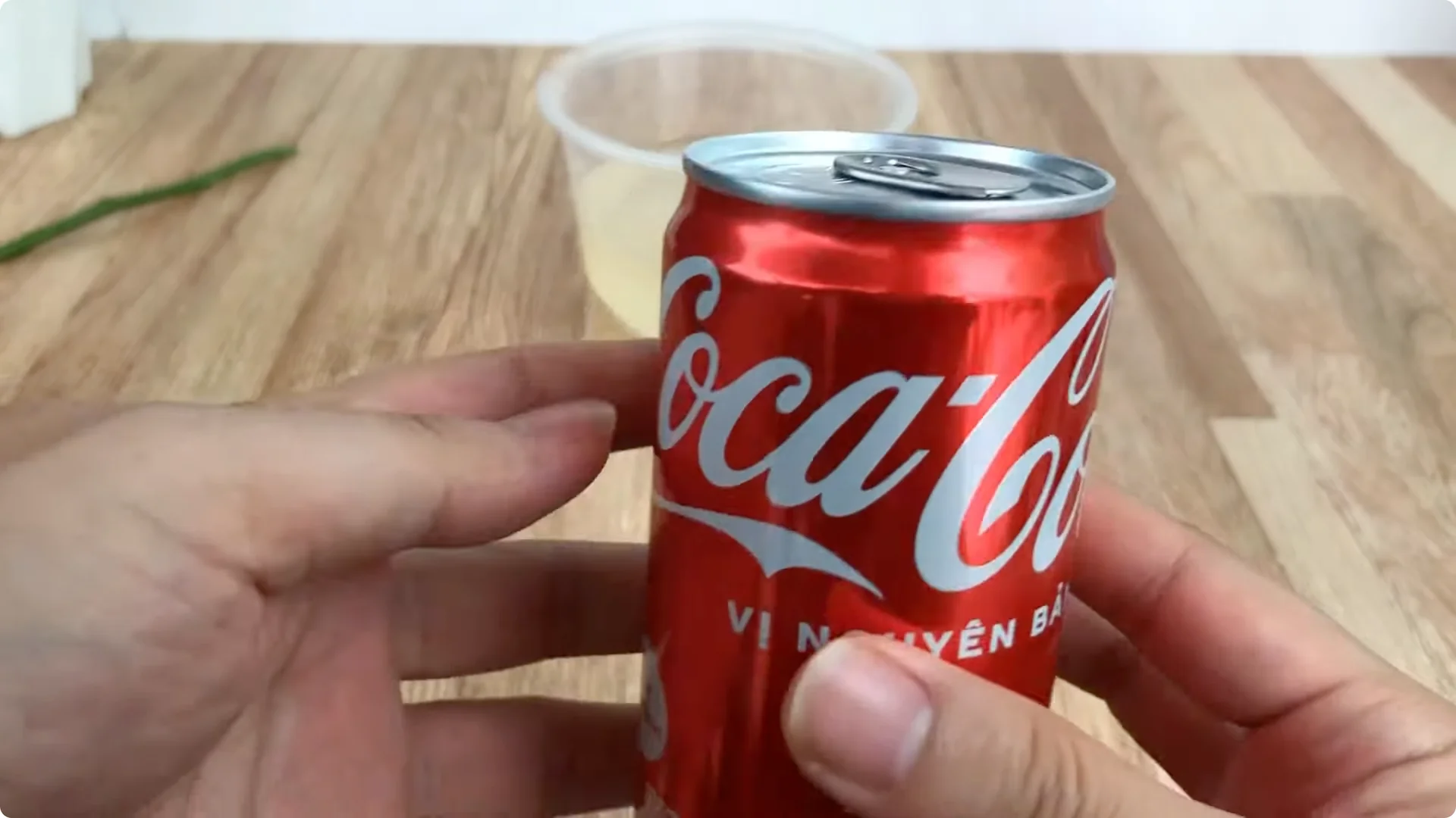 How One Simple Cup Sparks 1001 Roots and Year-Round Roses screenshot 5