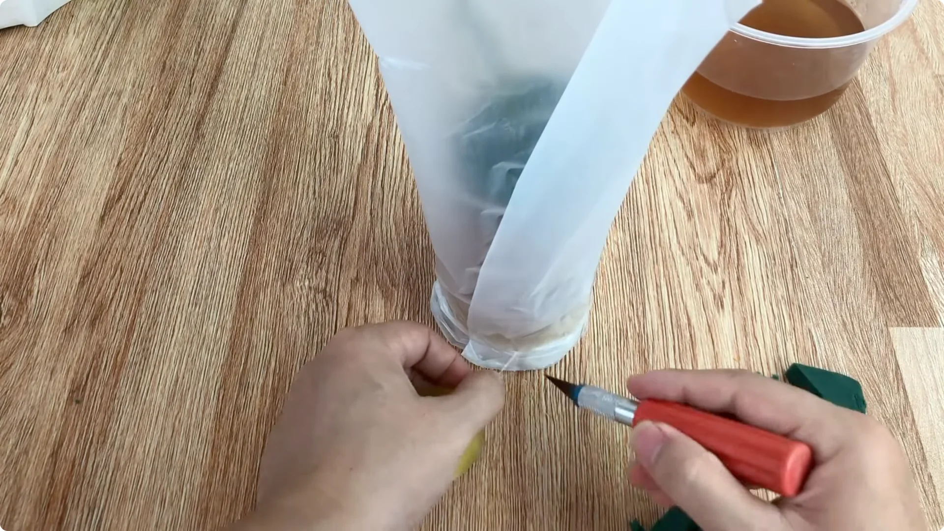 How One Simple Cup Sparks 1001 Roots and Year-Round Roses screenshot 8