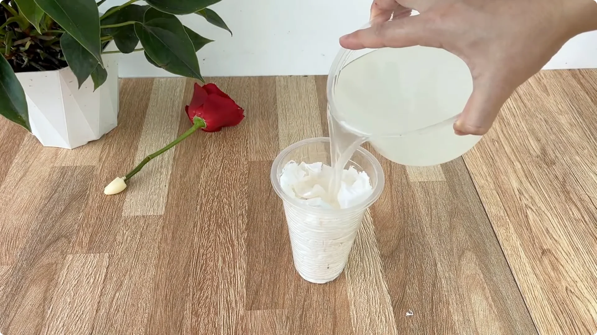 How One Slice of Bread Can Boost Rose Branch Growth Dramatically screenshot 10