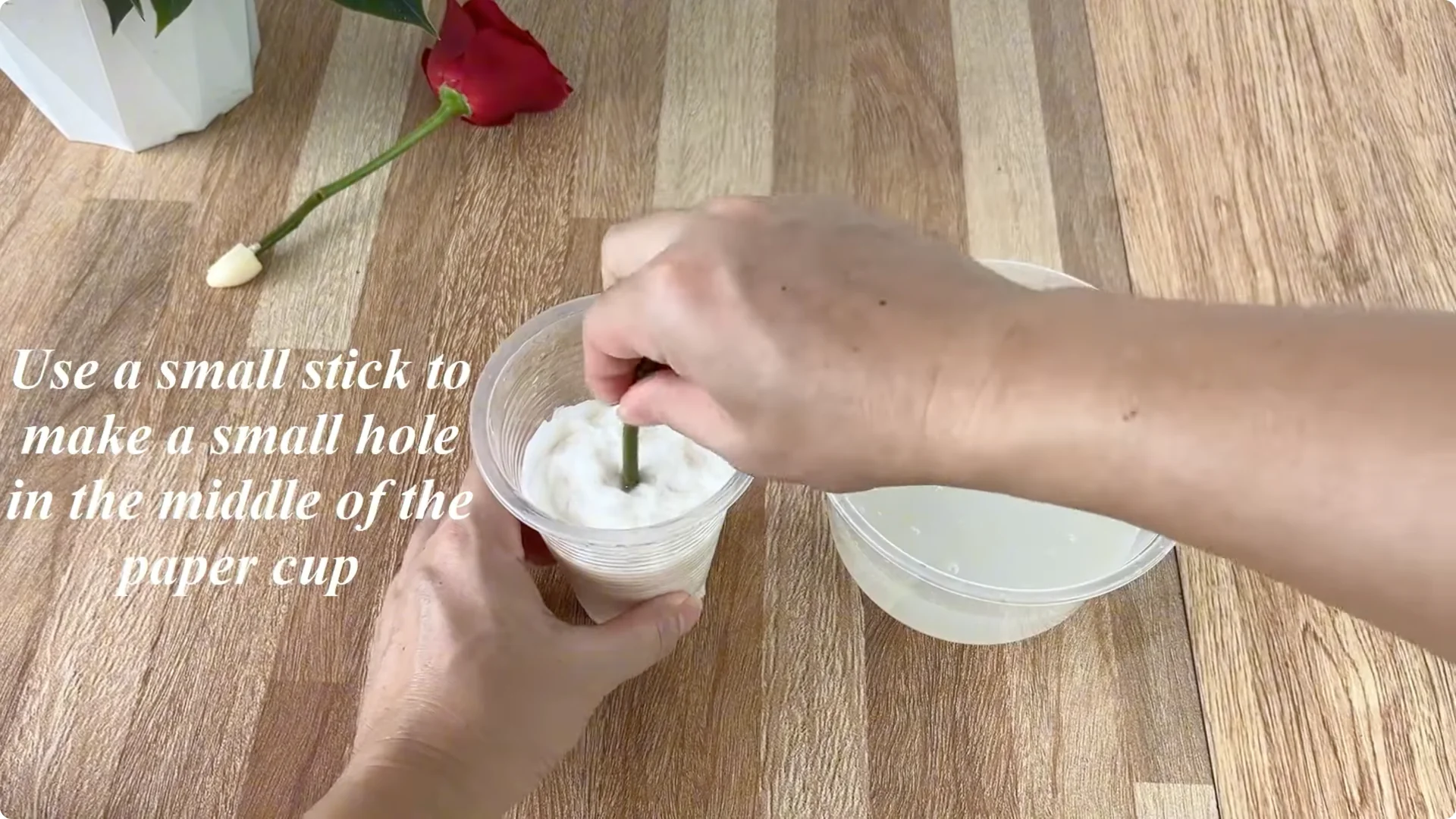 How One Slice of Bread Can Boost Rose Branch Growth Dramatically screenshot 11