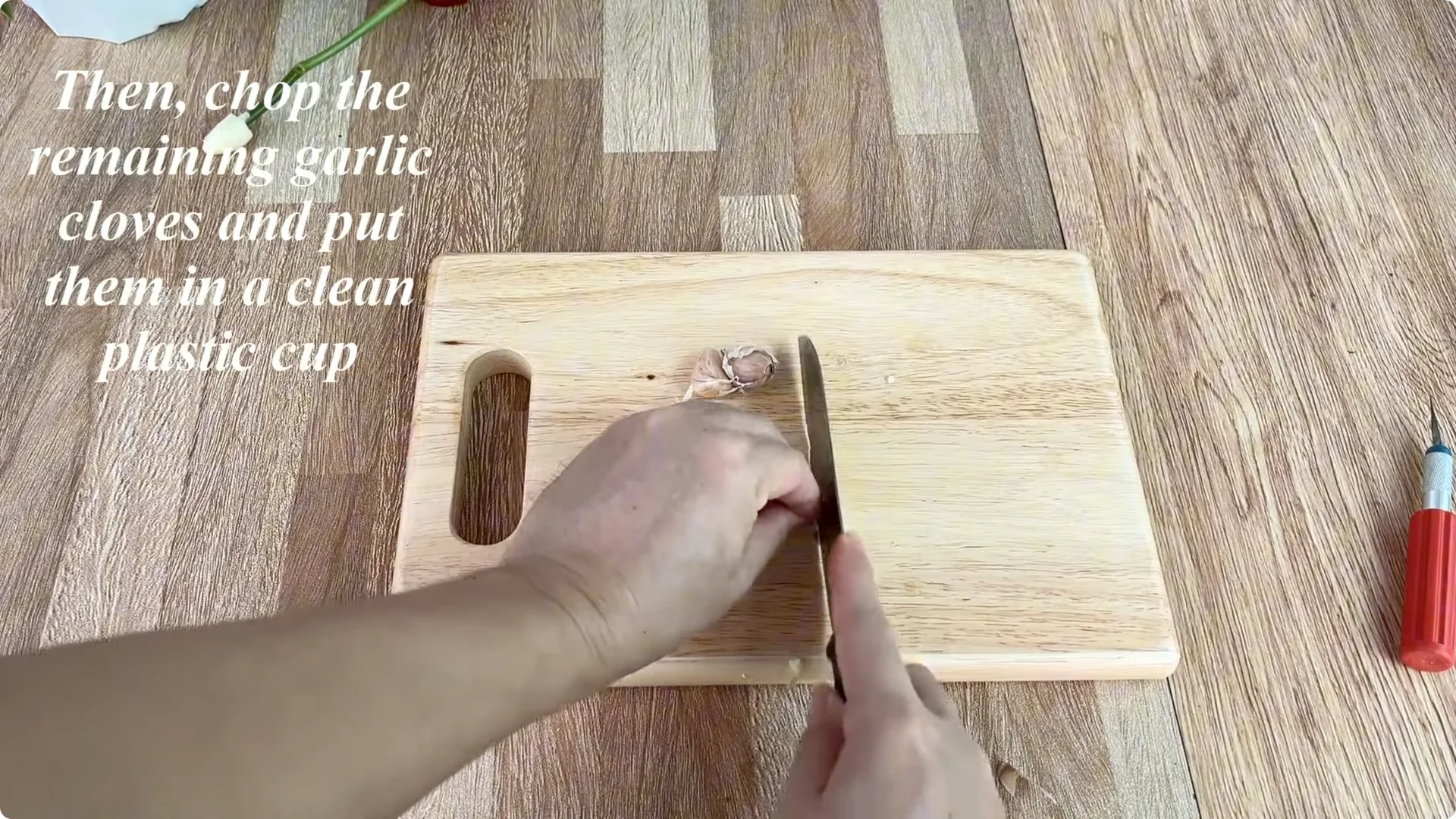 How One Slice of Bread Can Boost Rose Branch Growth Dramatically screenshot 6