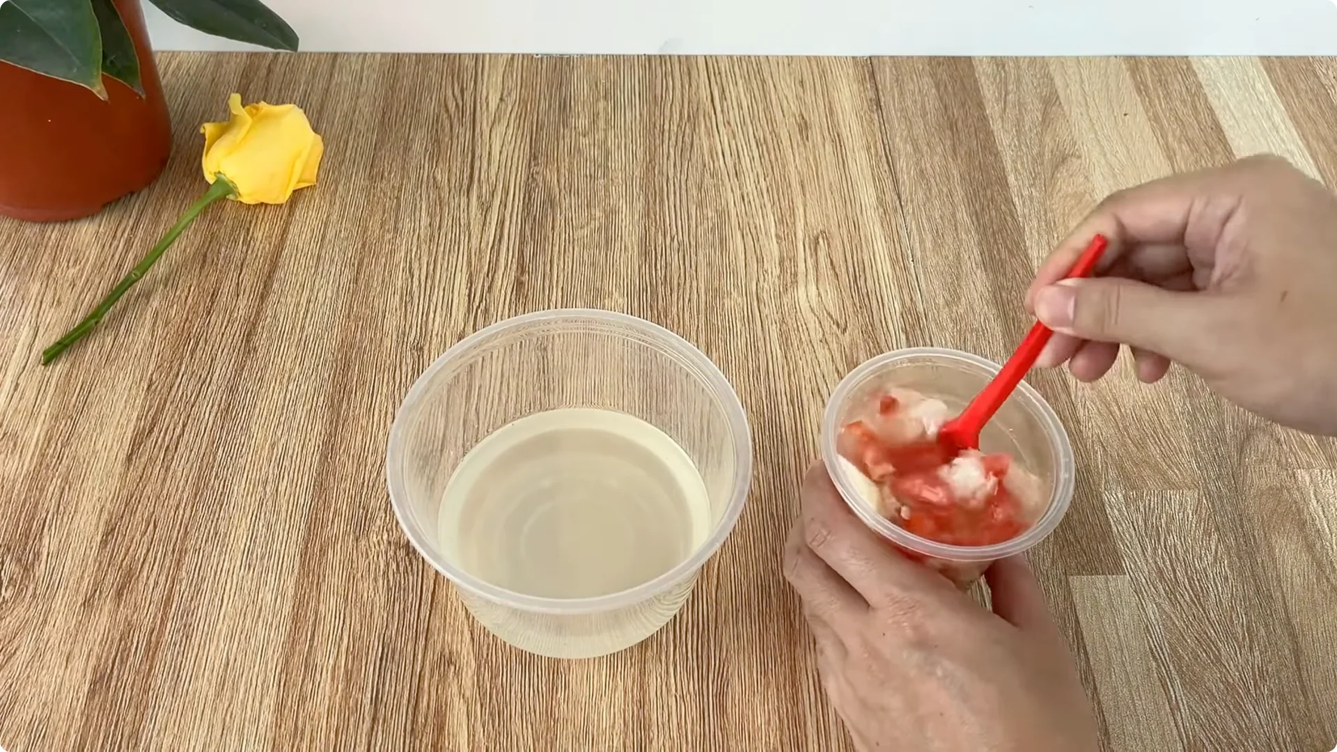 How One Spoonful Helps Rose Branches Root and Bloom More screenshot 4