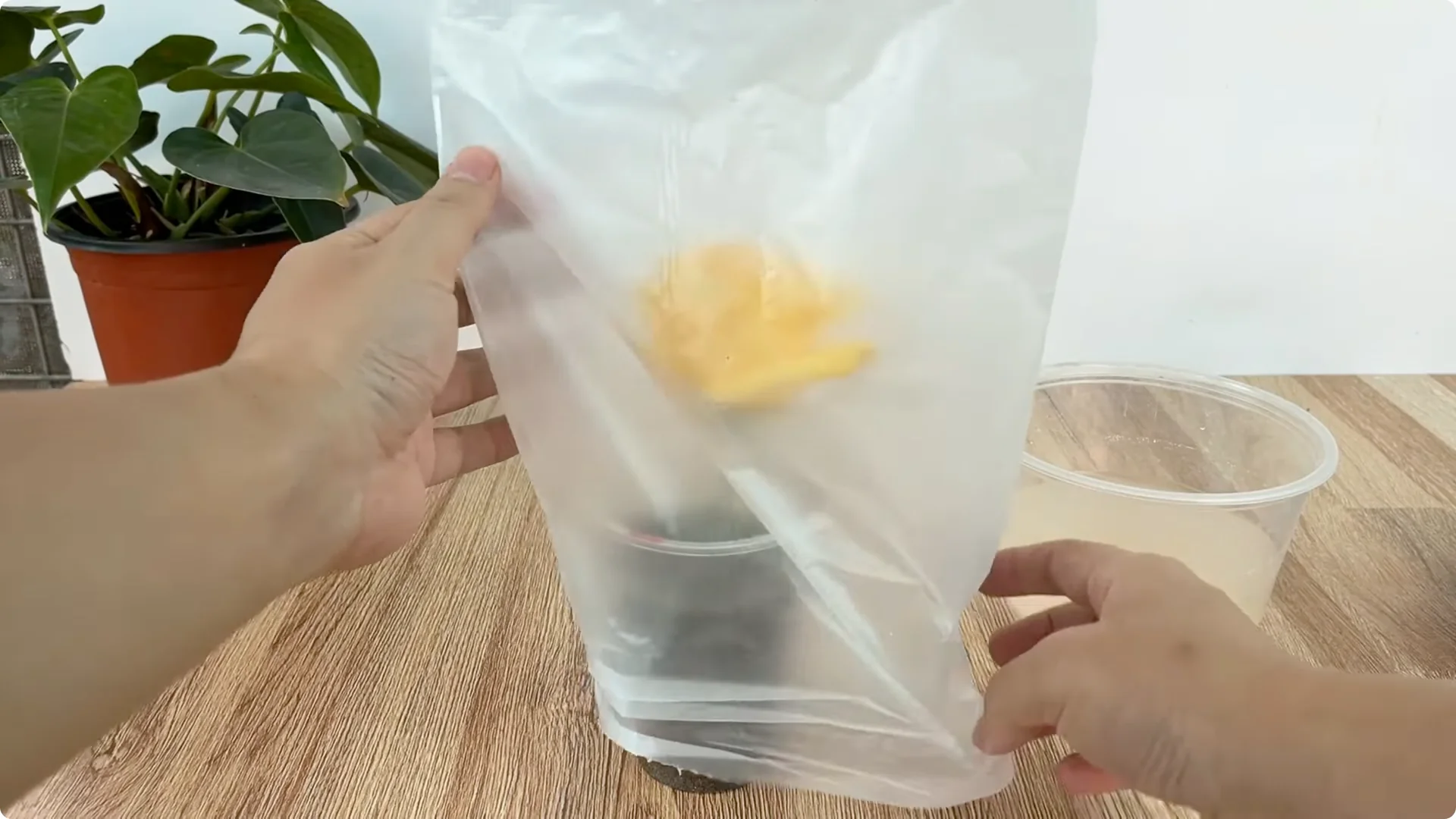 How One Spoonful Helps Rose Branches Root and Bloom More screenshot 6