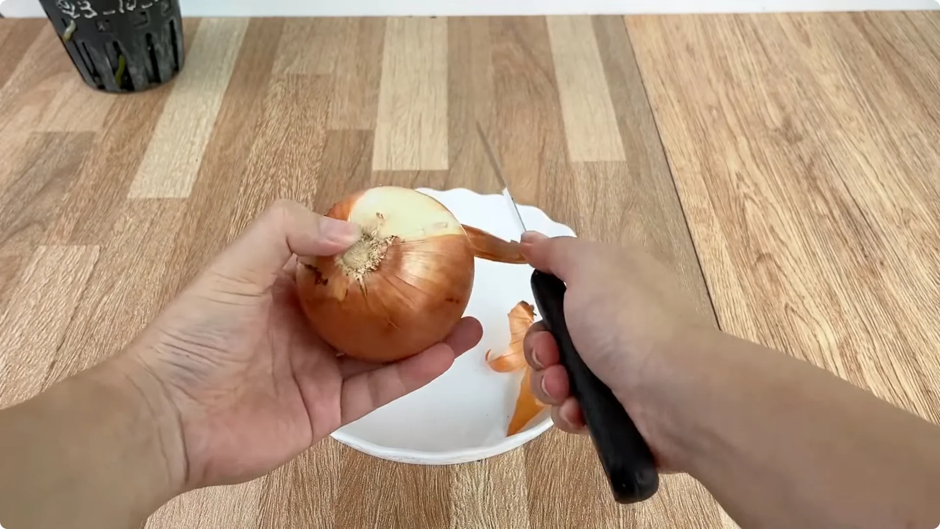 How Onions Unlock a Faster Way to Propagate Roses screenshot 1