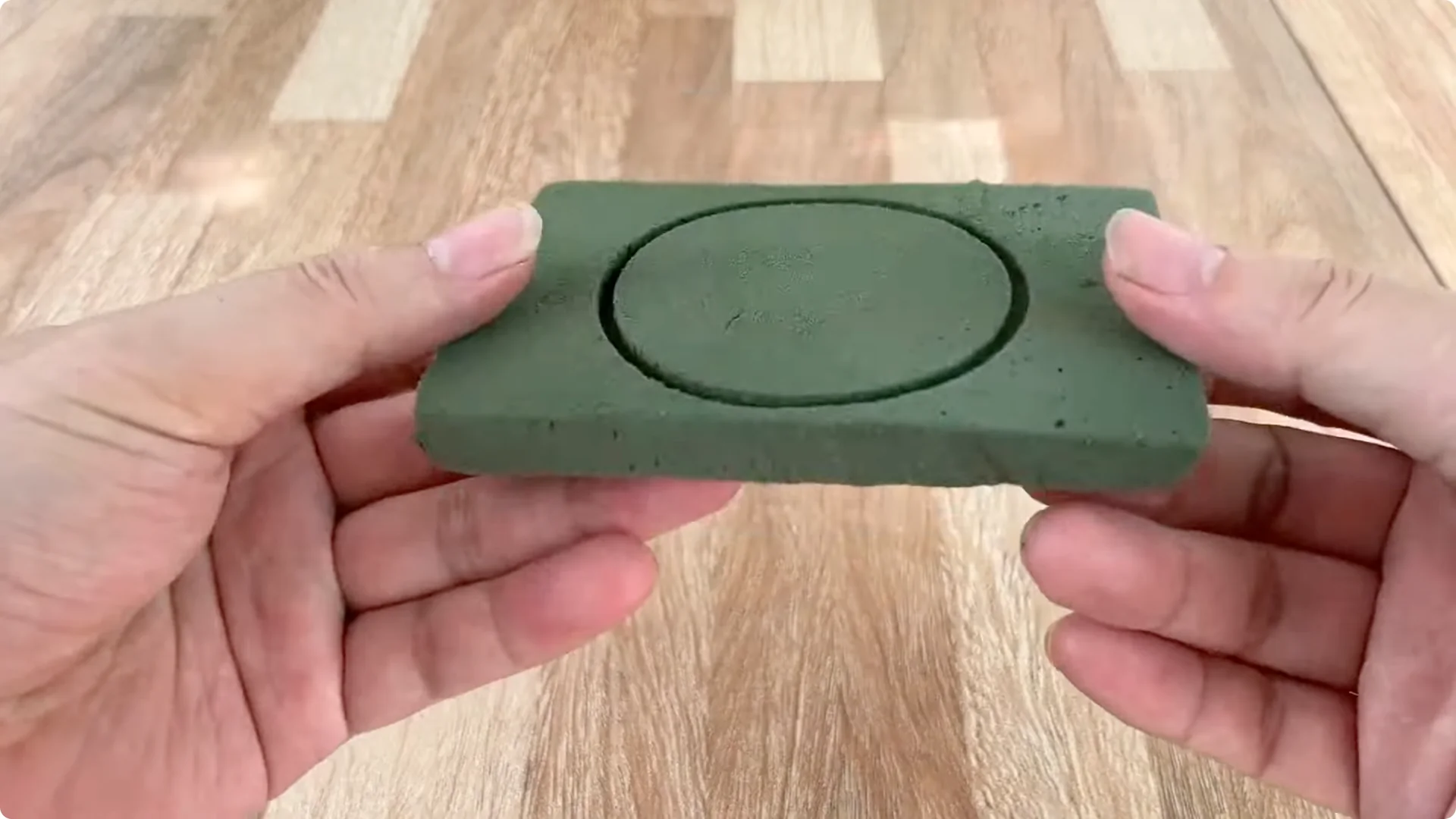 How Onions Unlock a Faster Way to Propagate Roses screenshot 10