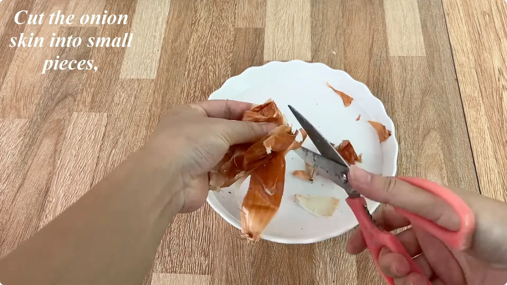 How Onions Unlock a Faster Way to Propagate Roses screenshot 2