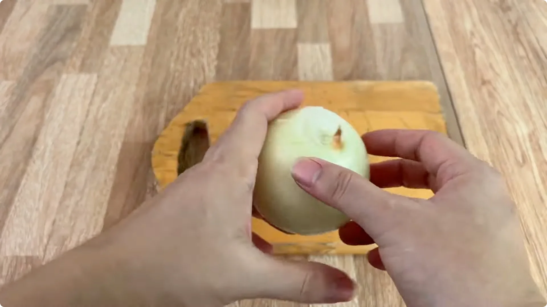 How Onions Unlock a Faster Way to Propagate Roses screenshot 4