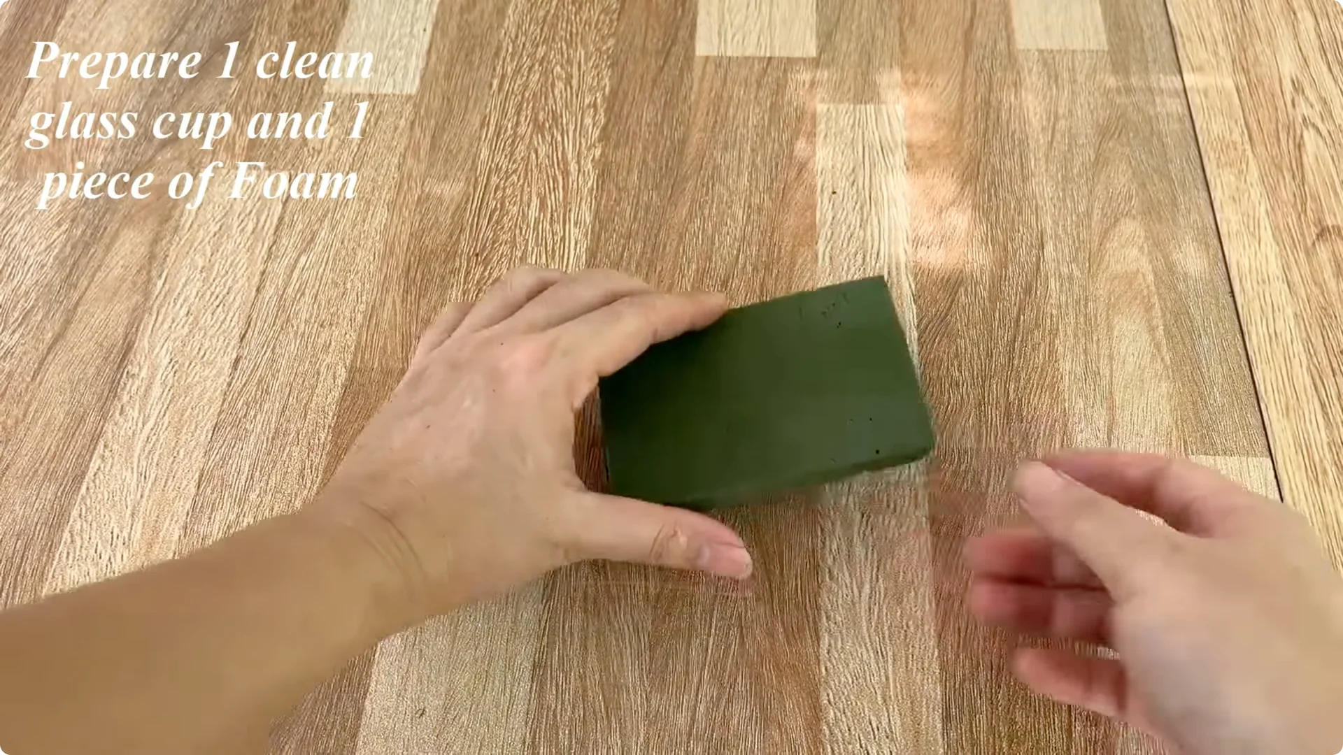 How Onions Unlock a Faster Way to Propagate Roses screenshot 9