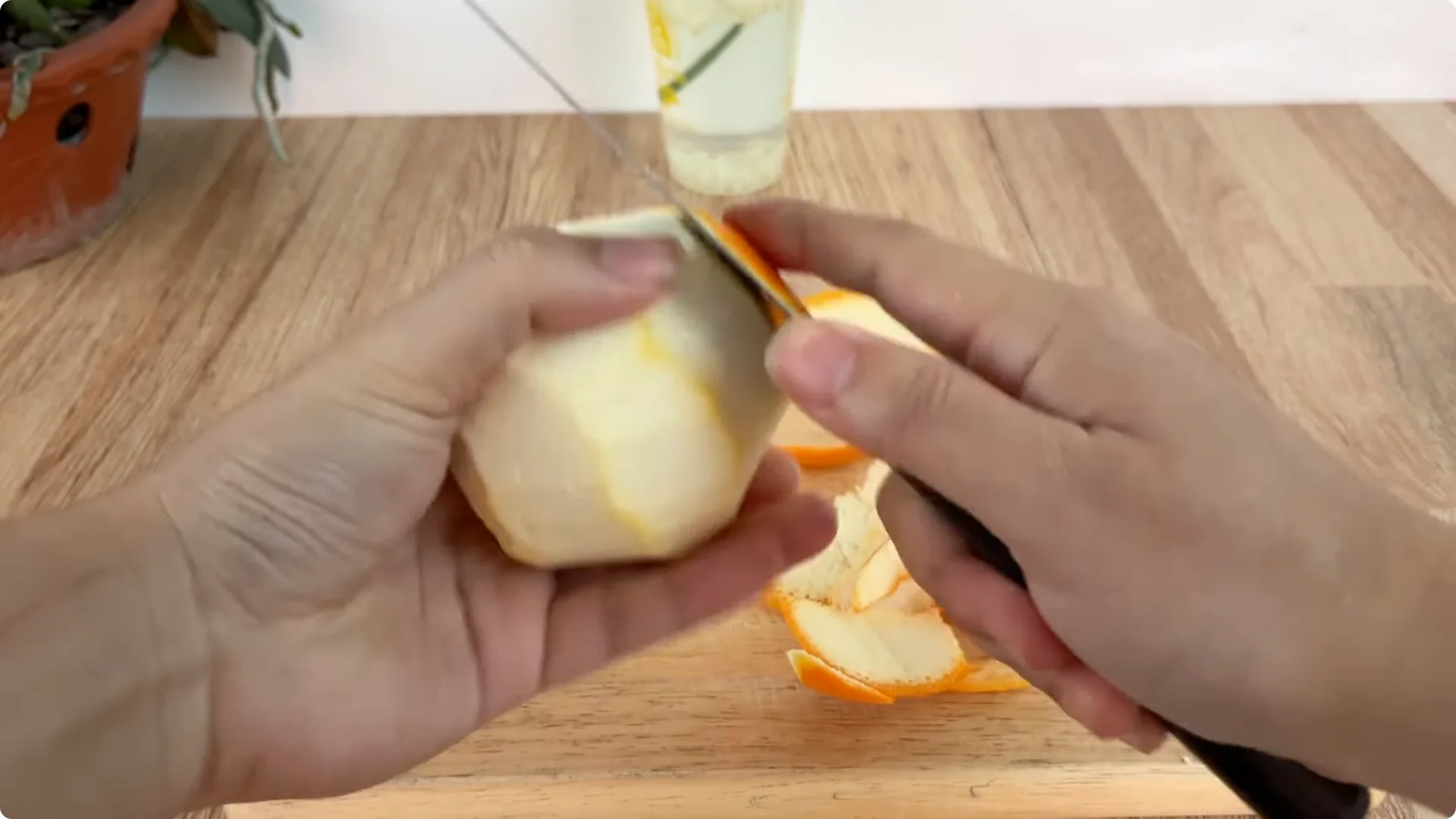 How Onions Unlock a Simple, Effective Way to Propagate Roses screenshot 11