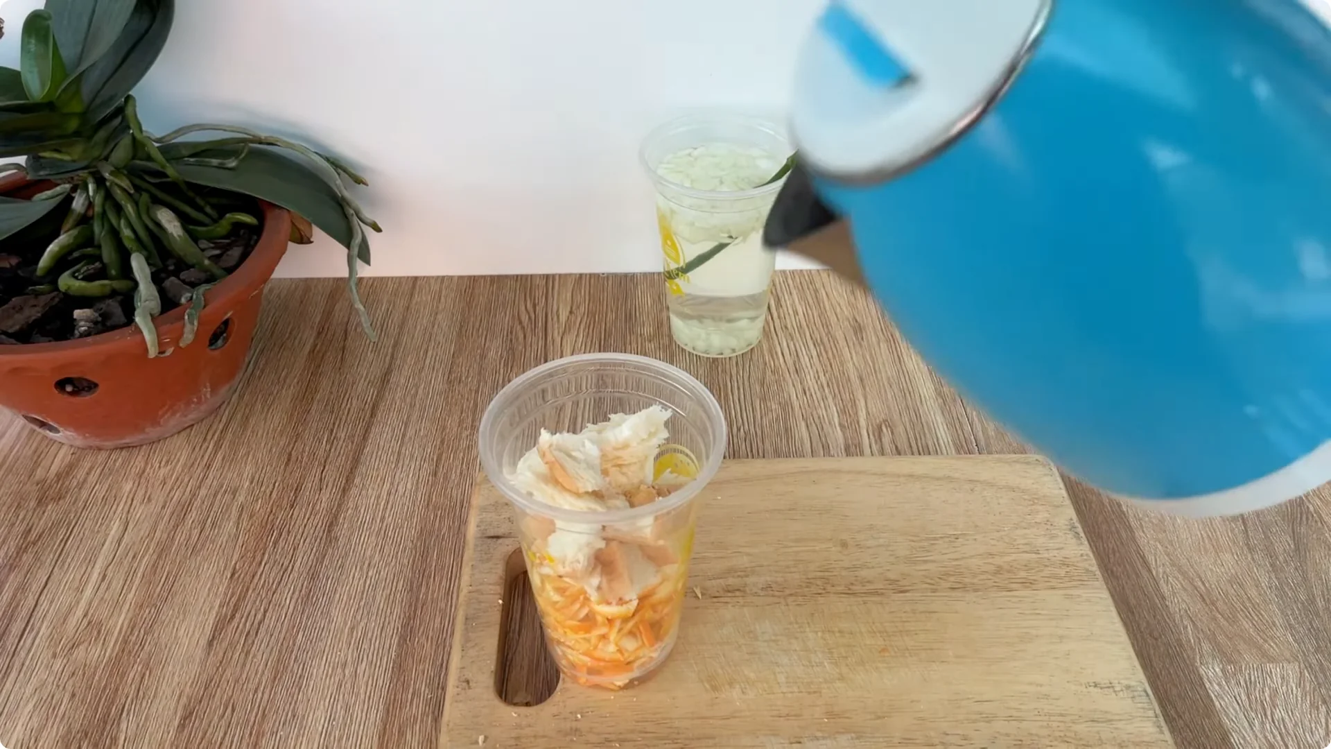 How Onions Unlock a Simple, Effective Way to Propagate Roses screenshot 14