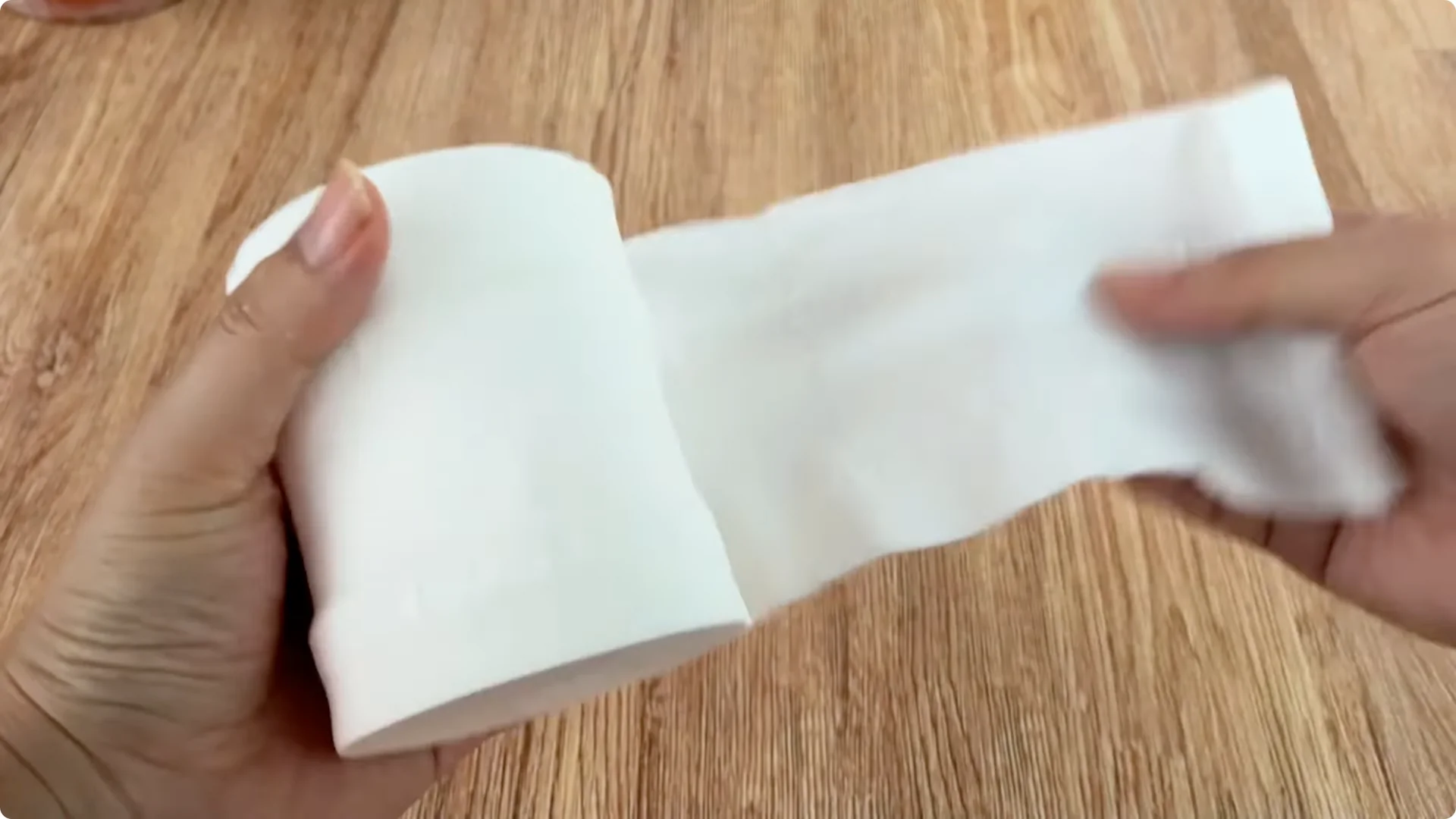 How Onions Unlock a Simple, Effective Way to Propagate Roses screenshot 15