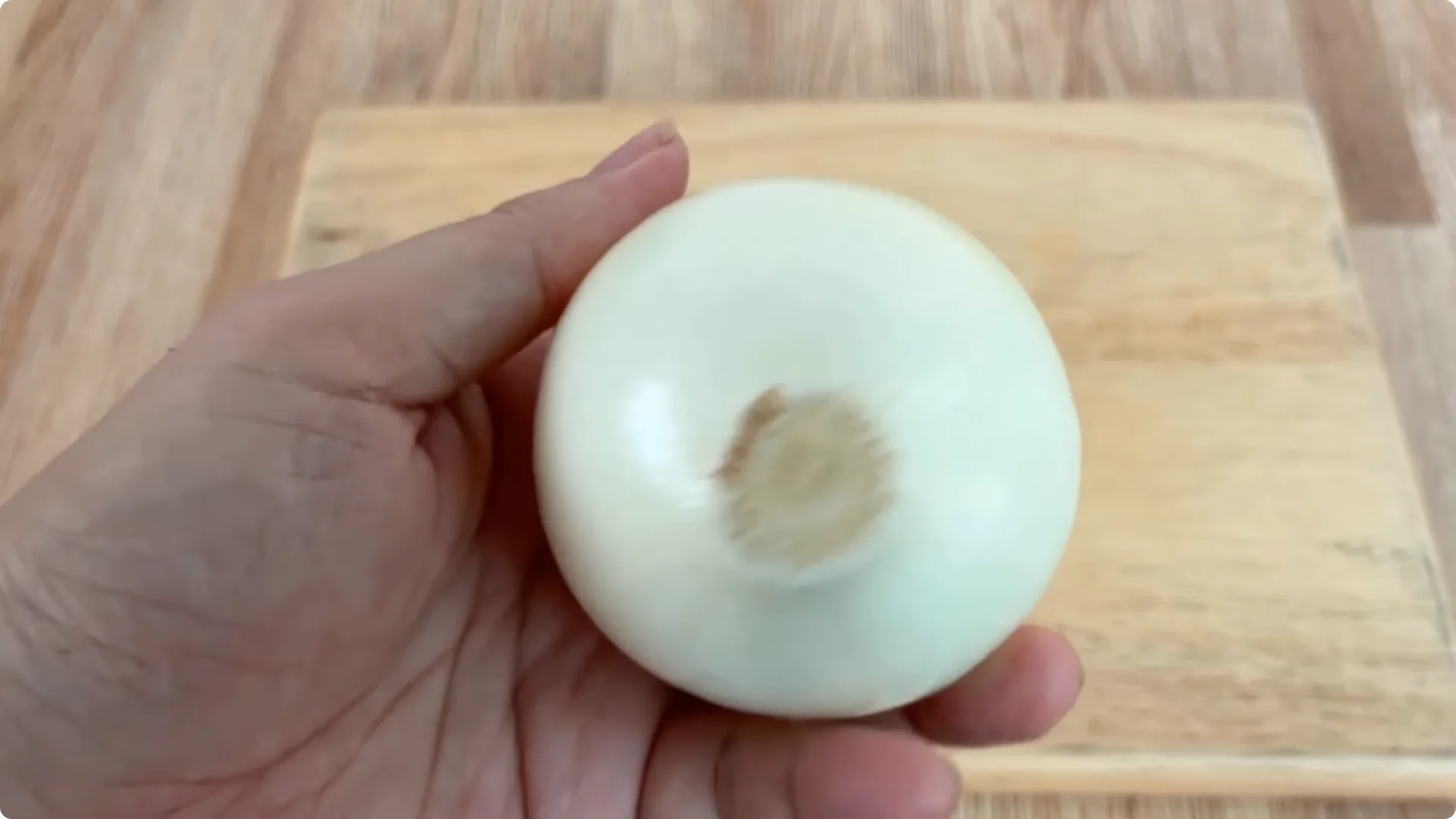 How Onions Unlock a Simple, Effective Way to Propagate Roses screenshot 6
