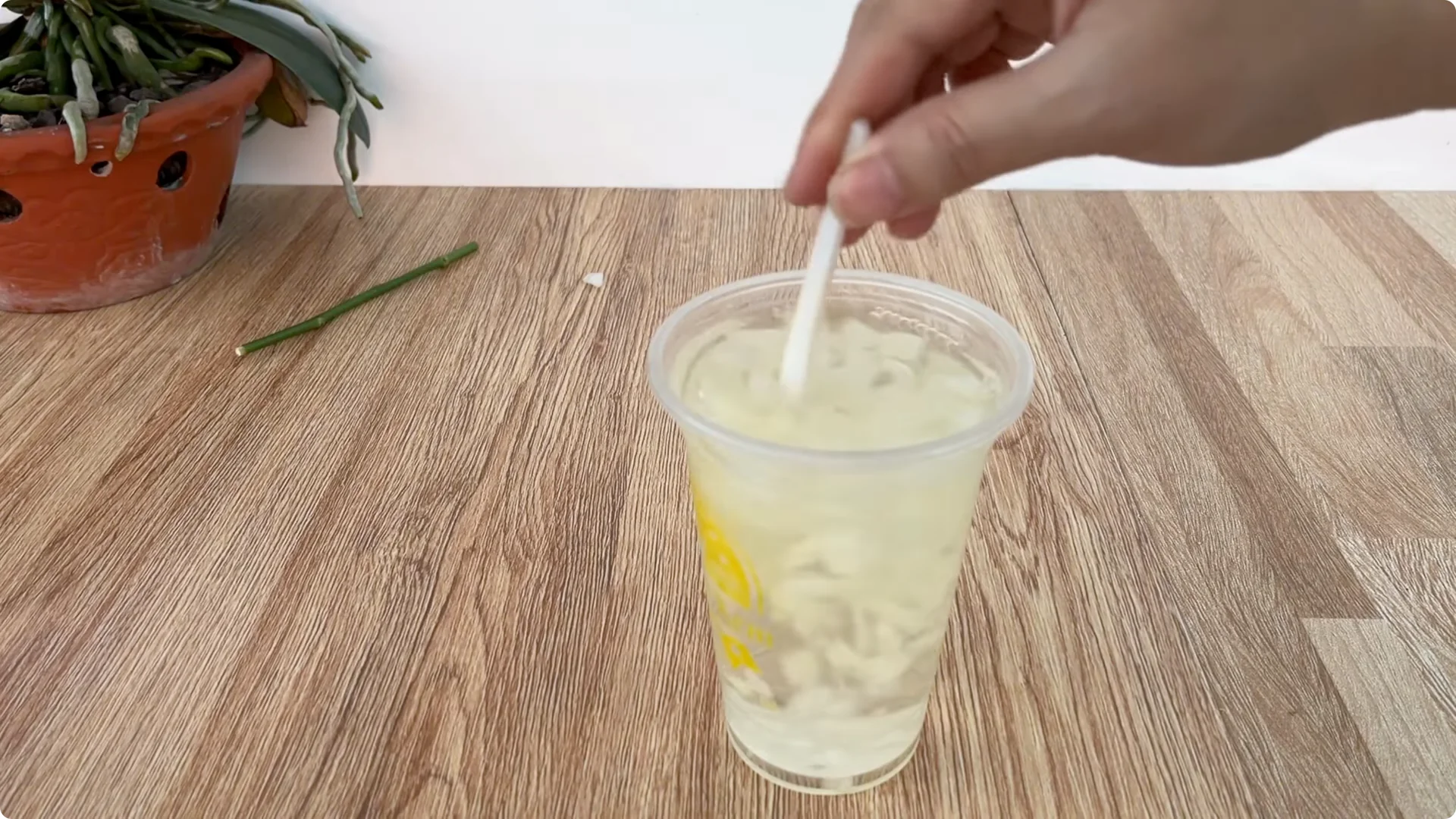 How Onions Unlock a Simple, Effective Way to Propagate Roses screenshot 7