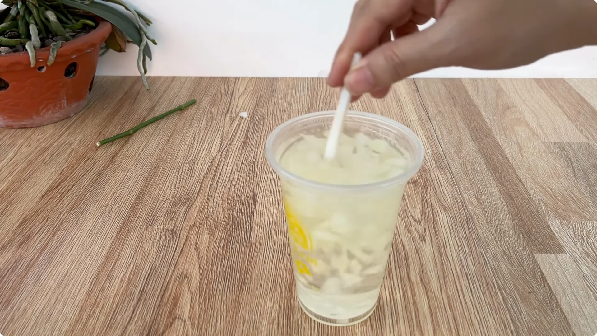 How Onions Unlock a Simple, Effective Way to Propagate Roses screenshot 8