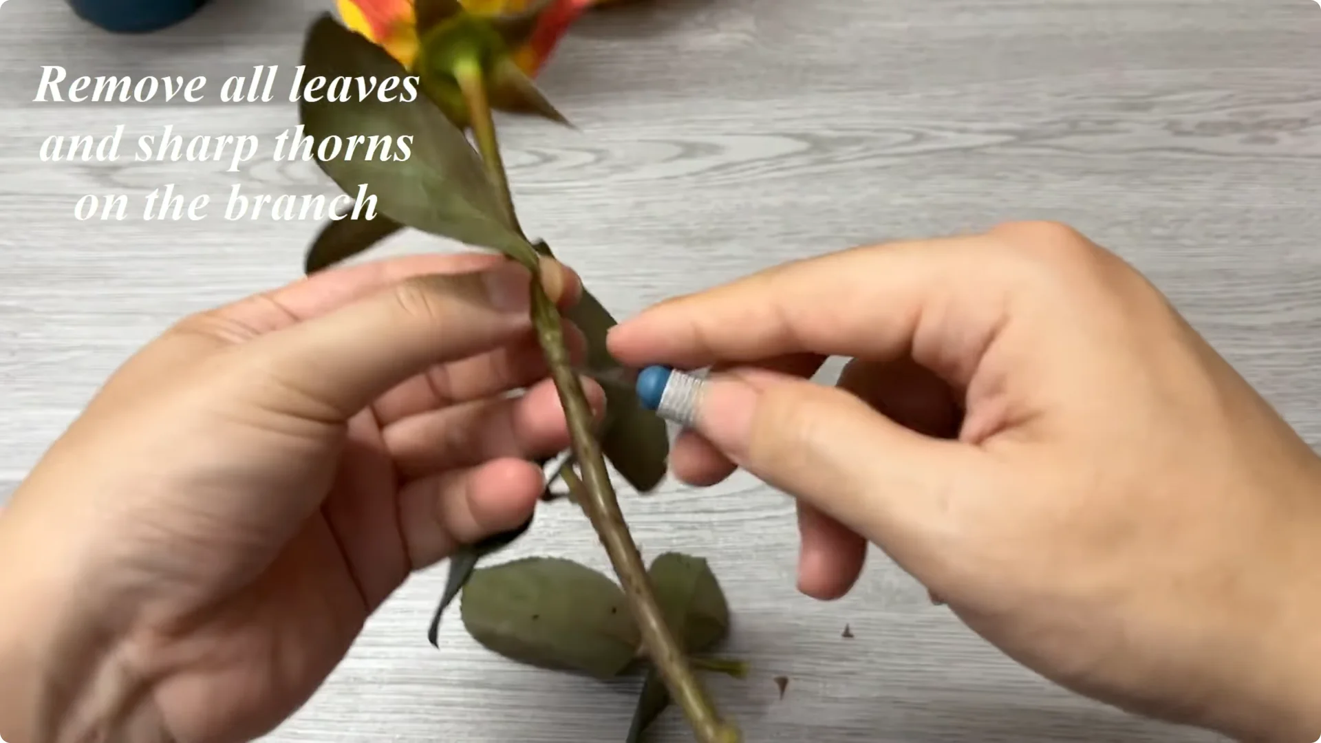 How Rose Branch Grows 999% More Roots Overnight with Just Rice screenshot 2