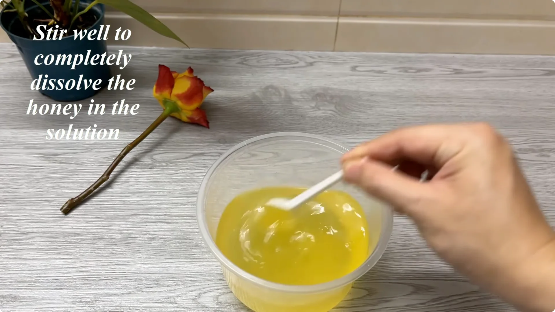 How Rose Branch Grows 999% More Roots Overnight with Just Rice screenshot 3