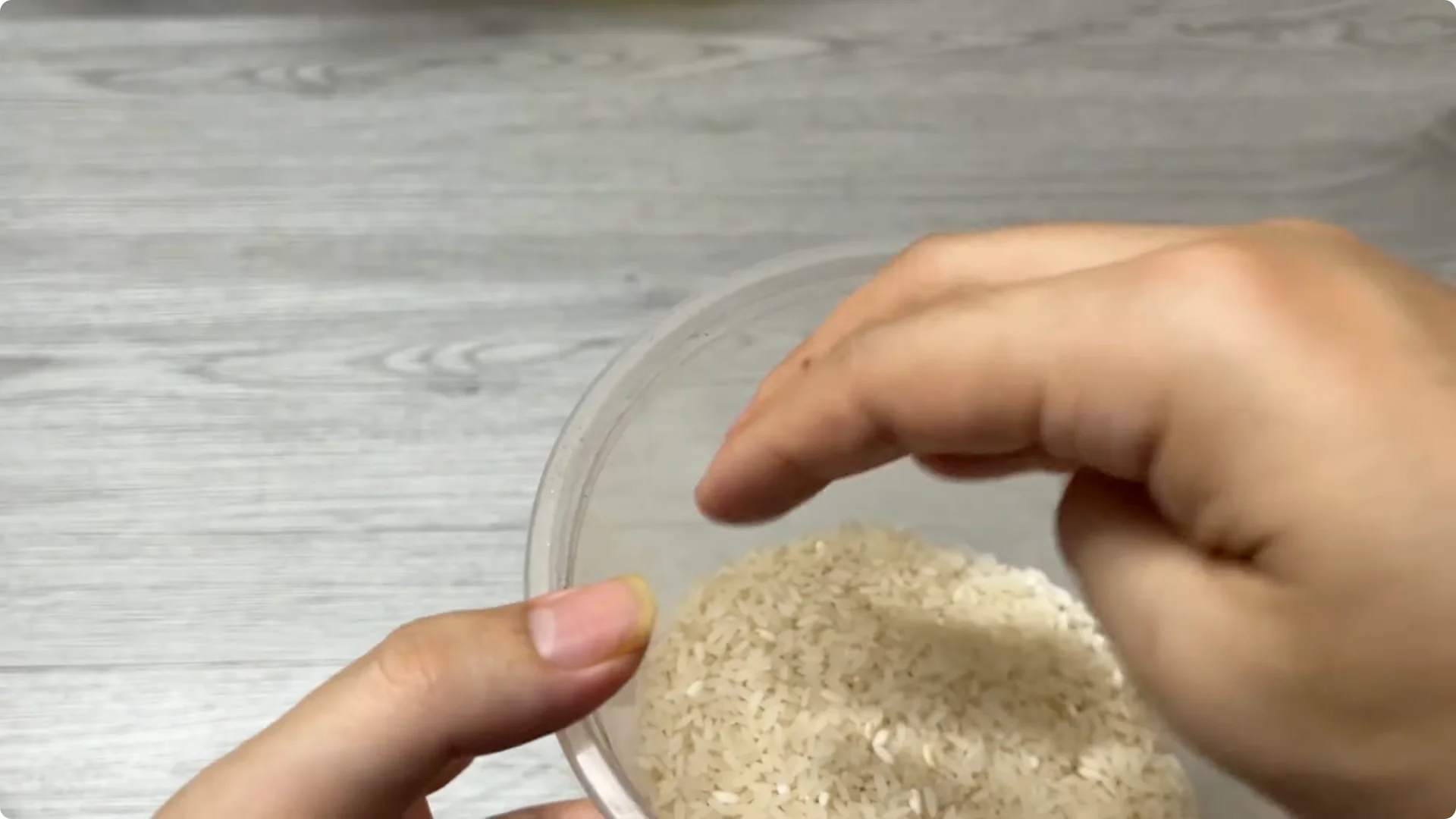 How Rose Branch Grows 999% More Roots Overnight with Just Rice screenshot 5