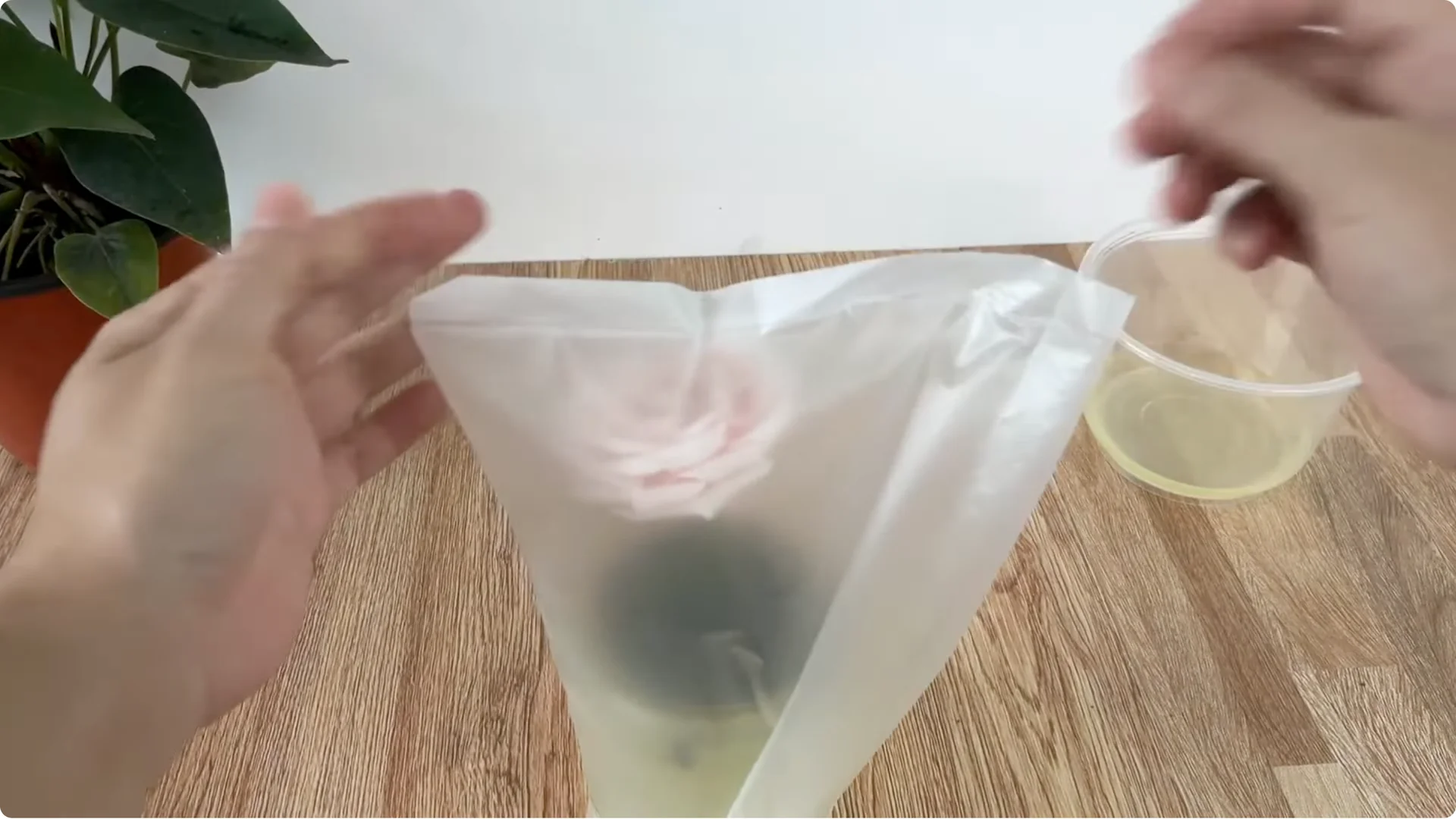 How This Simple Trick Helps Rose Stems Root and Bloom More screenshot 12