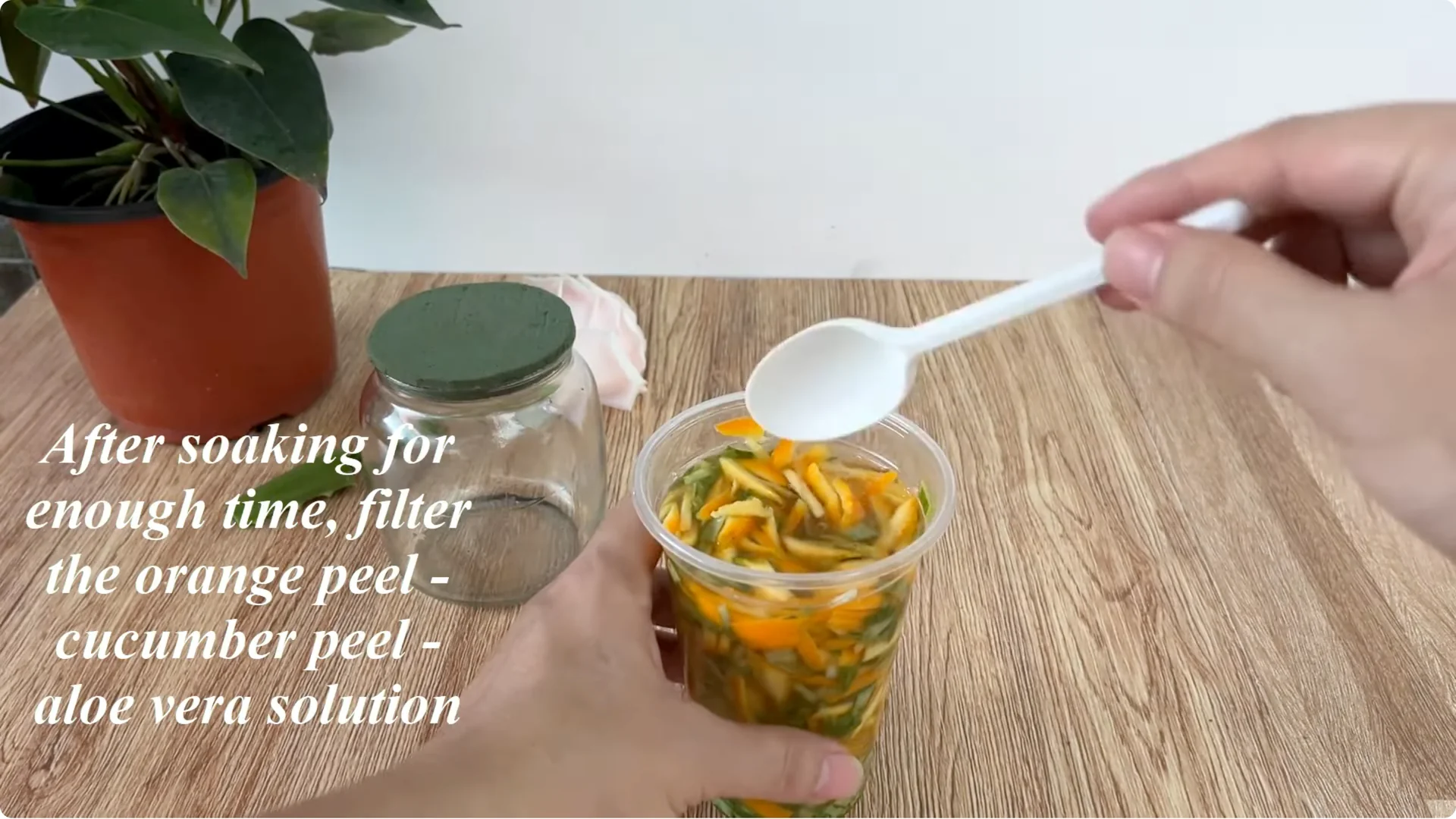 How This Simple Trick Helps Rose Stems Root and Bloom More screenshot 7