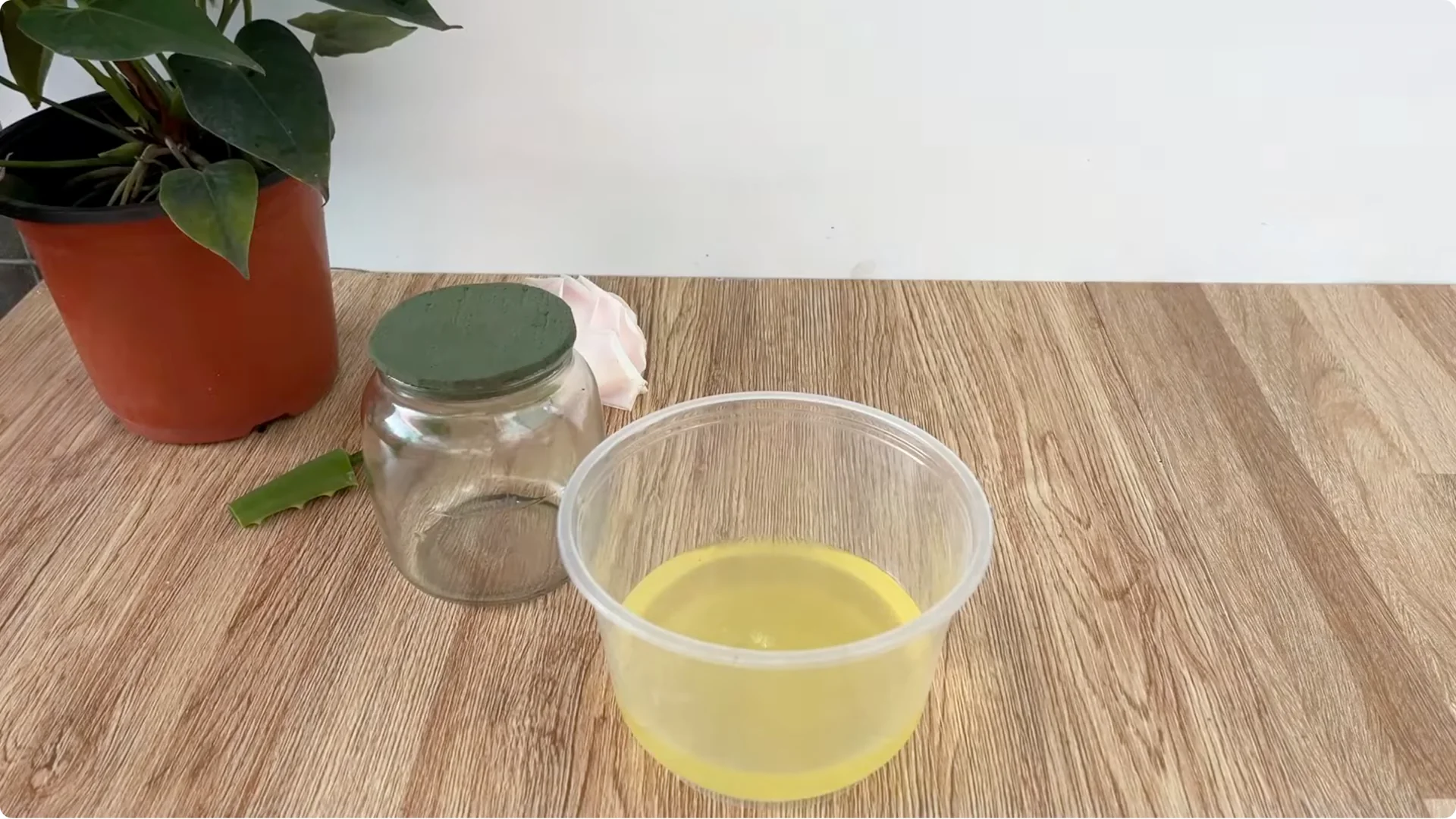 How This Simple Trick Helps Rose Stems Root and Bloom More screenshot 8