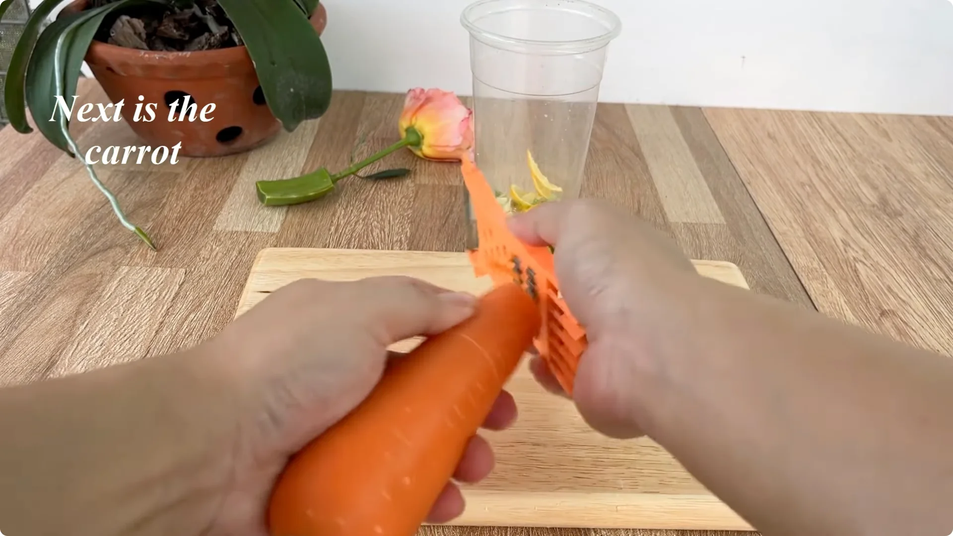 How This Simple Trick Helps Rose Stems Root and Bloom More screenshot 8