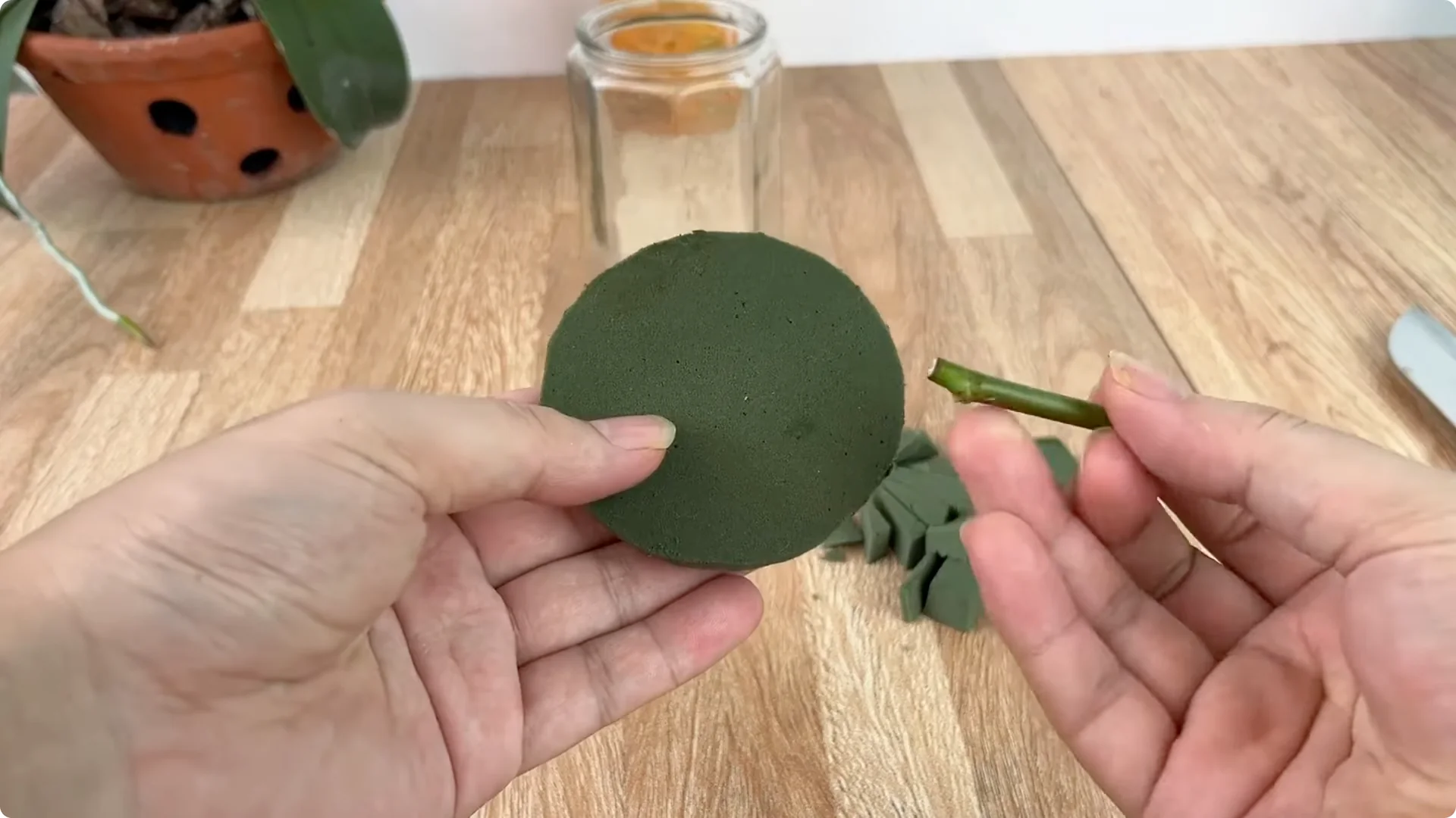 How This Simple Trick Helps Rose Stems Root and Bloom More screenshot 9