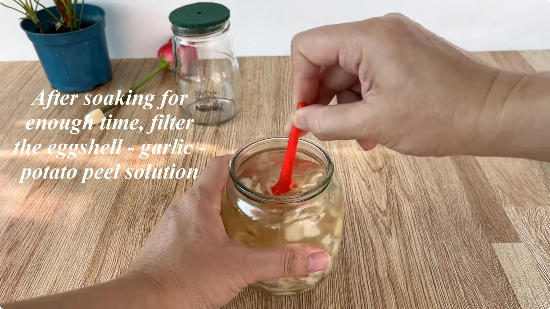 How This Simple Trick Helps Roses Root and Bloom Fast screenshot 11