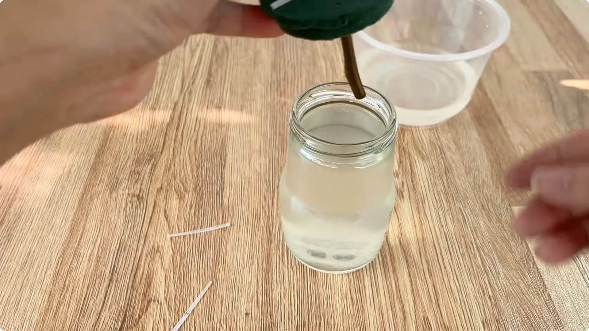 How This Simple Trick Helps Roses Root and Bloom Fast screenshot 12