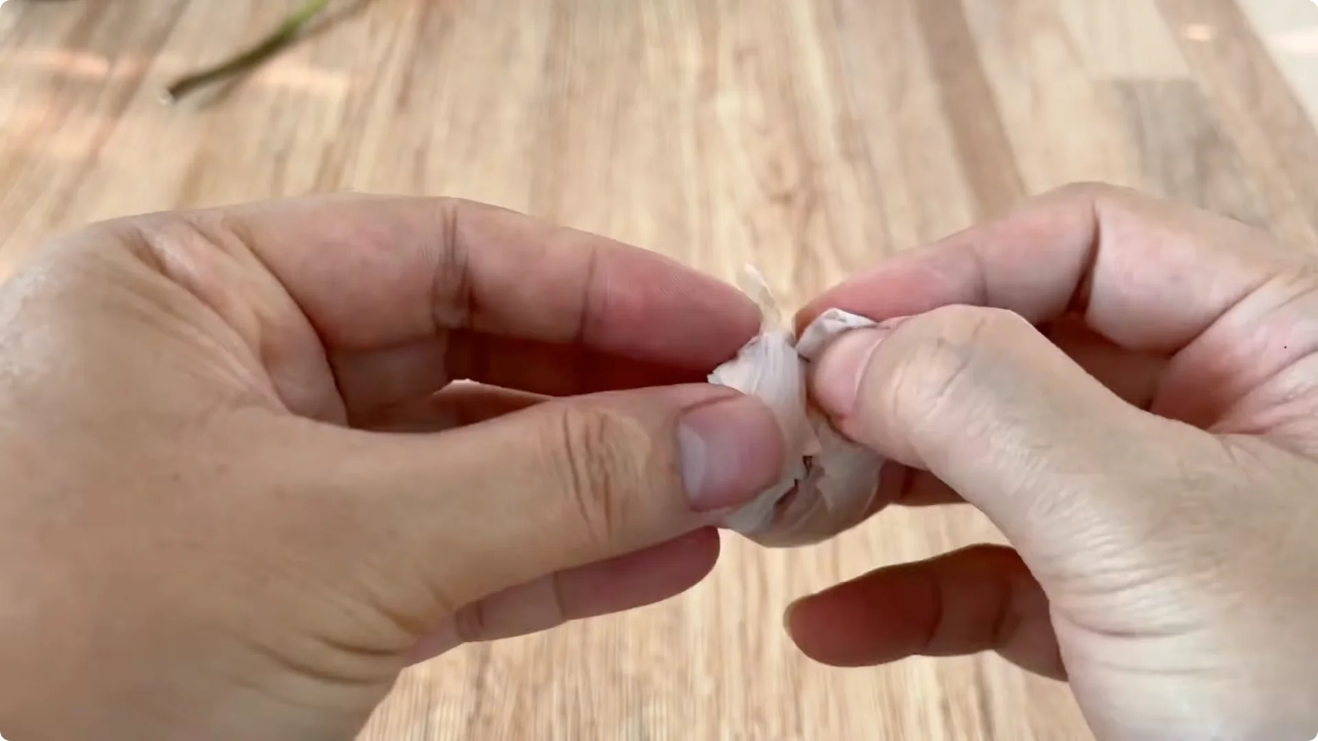 How This Simple Trick Helps Roses Root and Bloom Fast screenshot 5