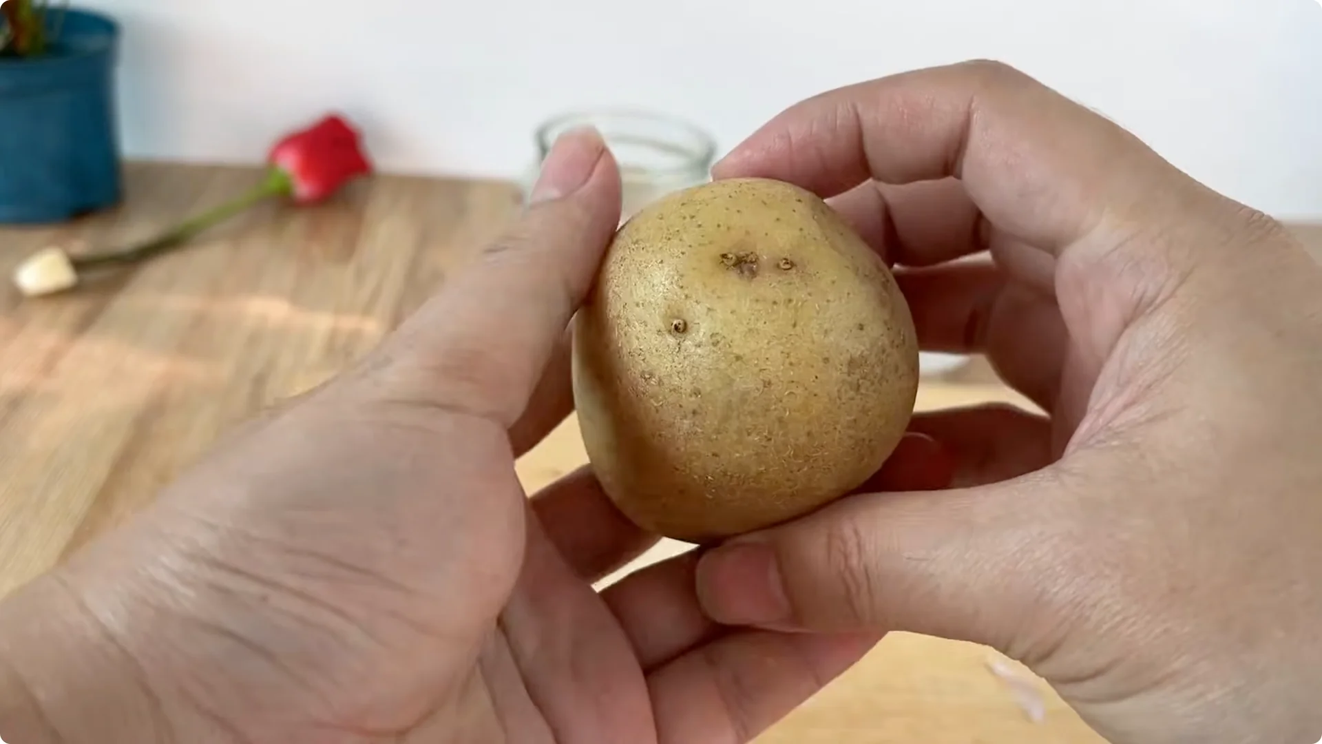 How This Simple Trick Helps Roses Root and Bloom Fast screenshot 8