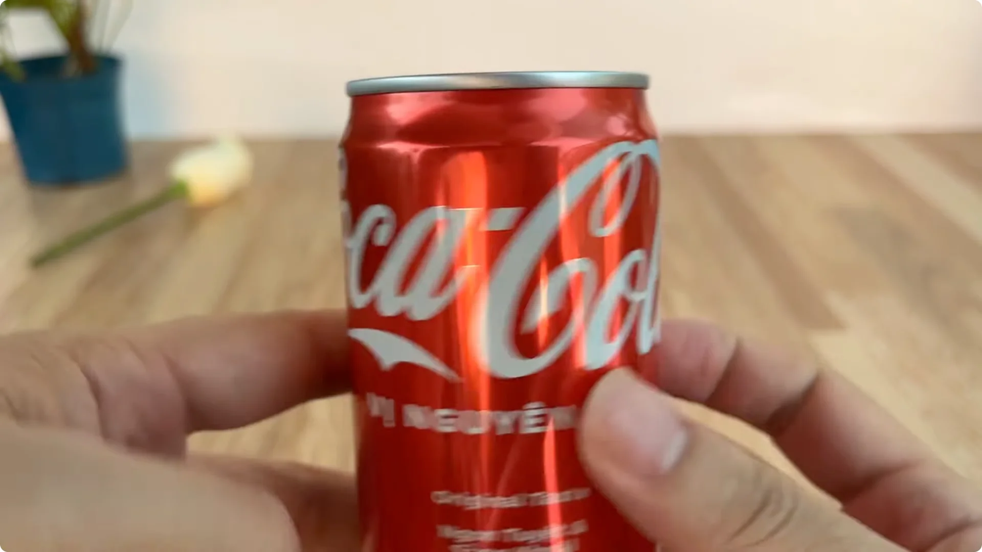 How to Propagate Roses with Coca: A Simple, Effective Method screenshot 7