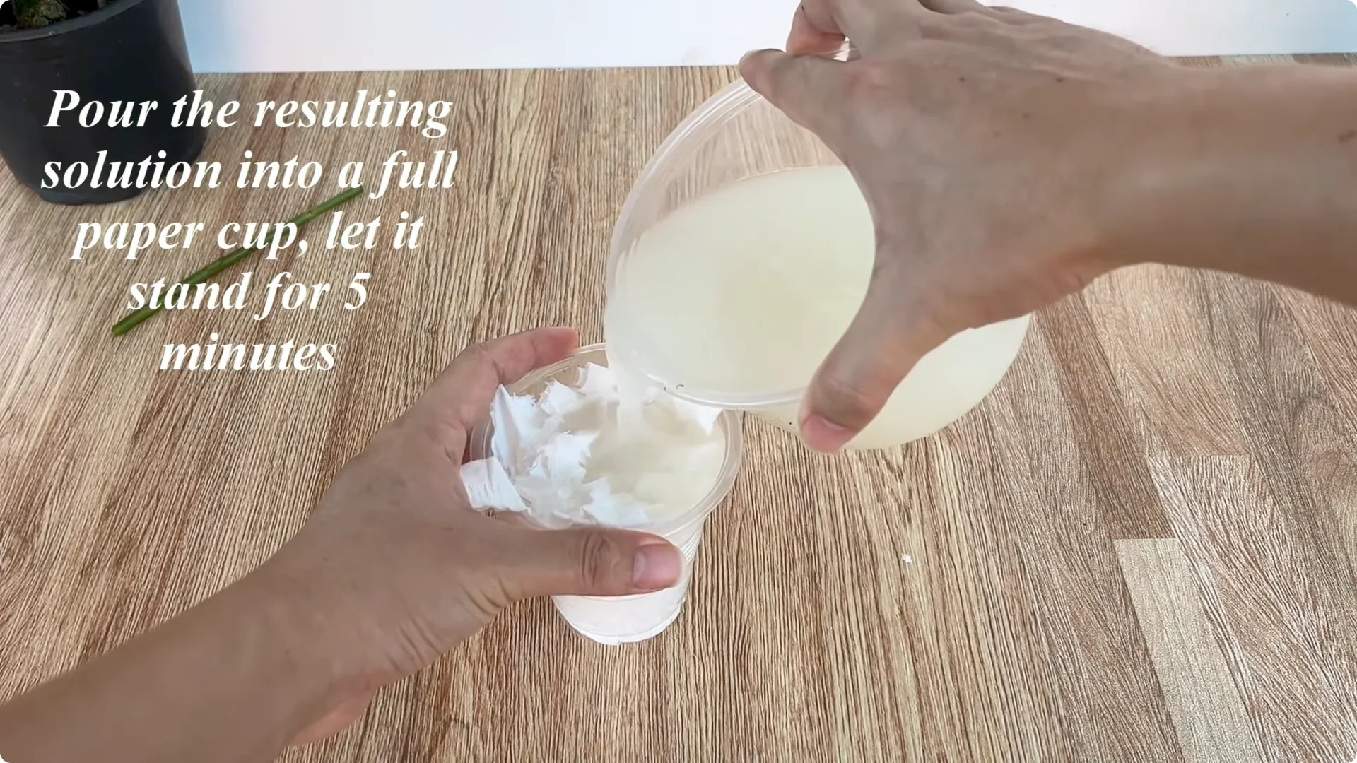 The Rose Branch Trick That Boosts Blooming 900 Times More screenshot 6