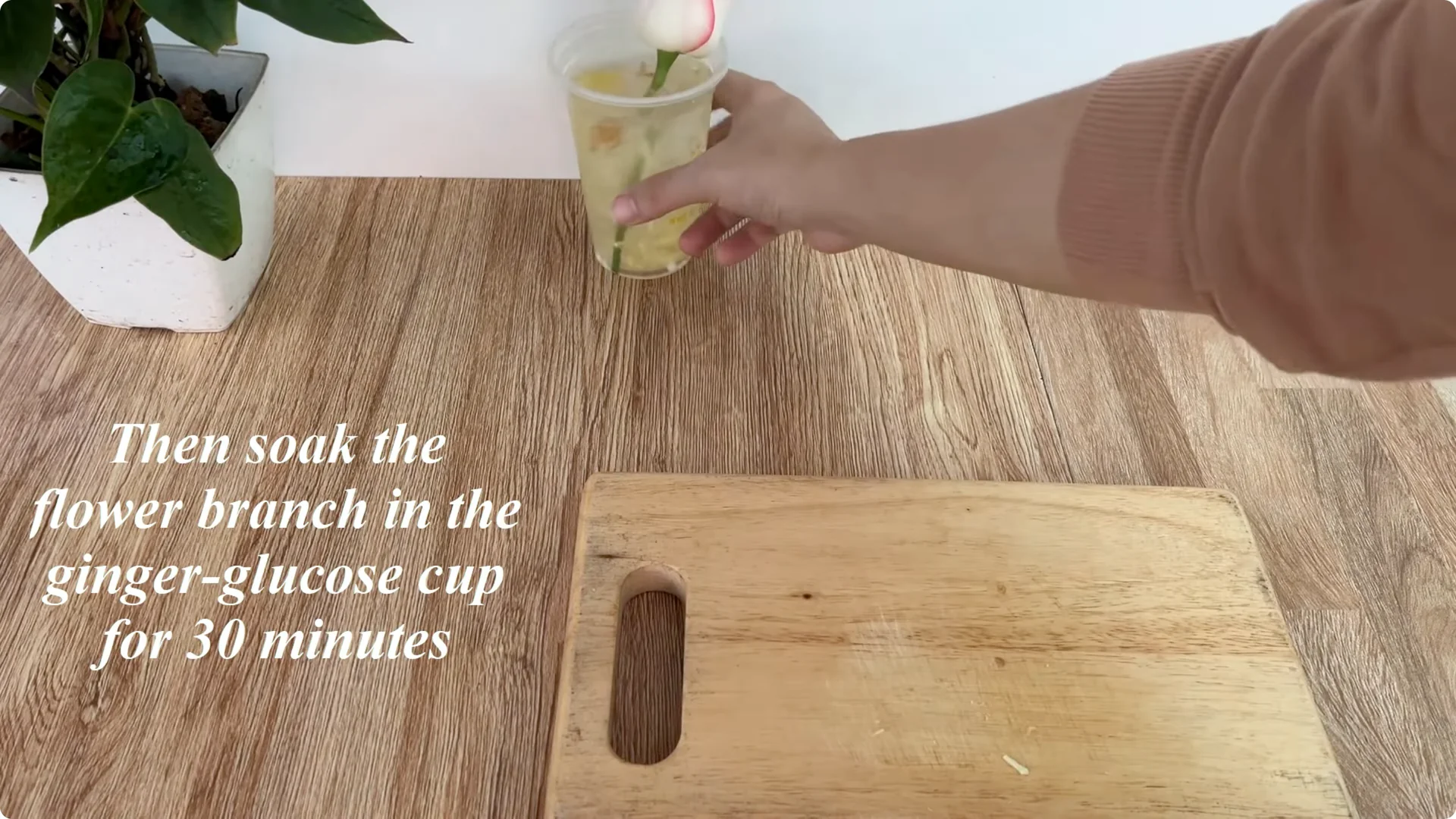 The Simple Method That Surprised Me When Propagating Roses screenshot 3