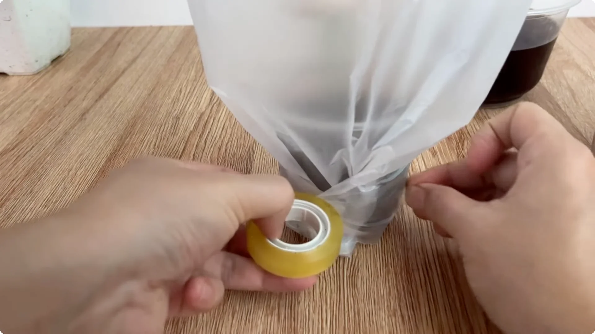 The Simple Method That Surprised Me When Propagating Roses screenshot 8