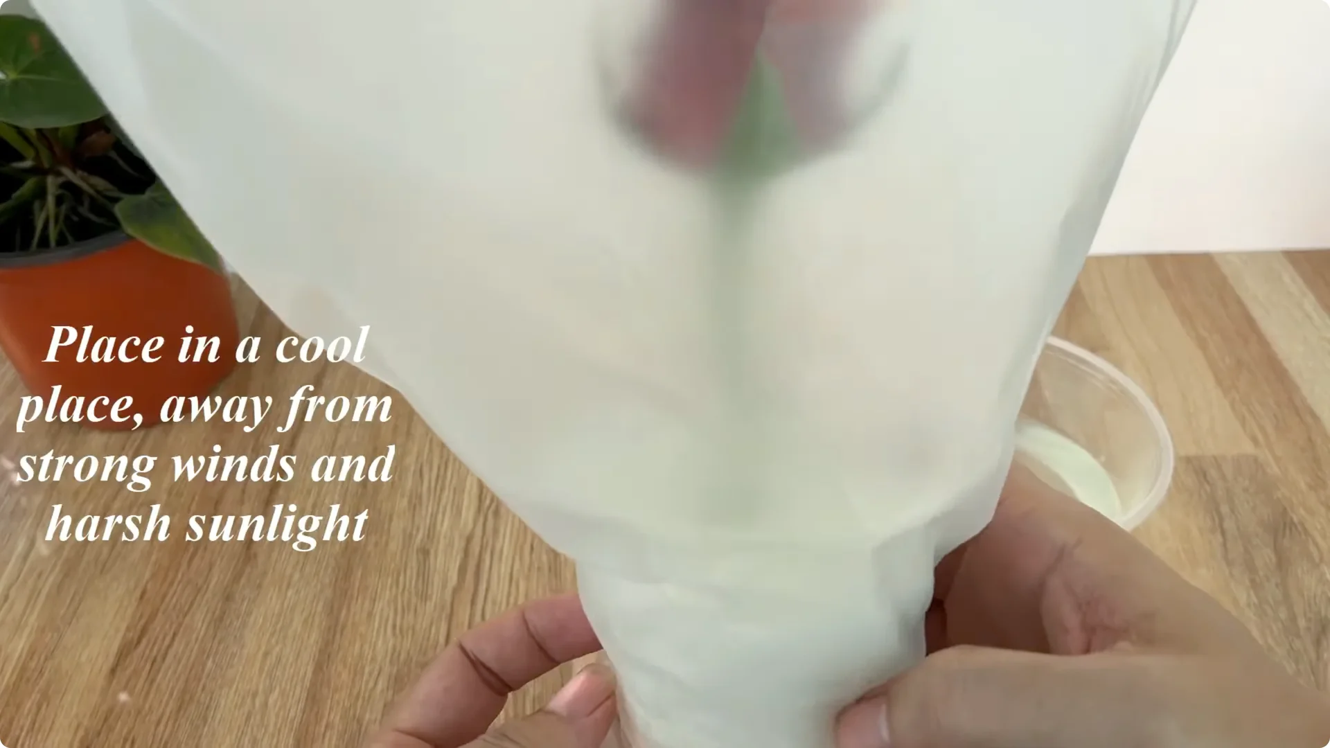 The Simple Trick That Makes Rose Propagation Effortless screenshot 13