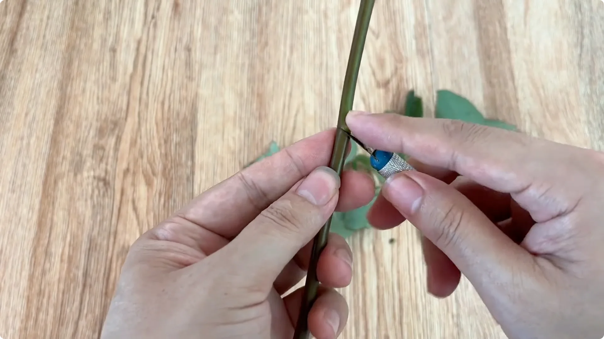 The Simple Trick That Makes Rose Propagation Effortless screenshot 2