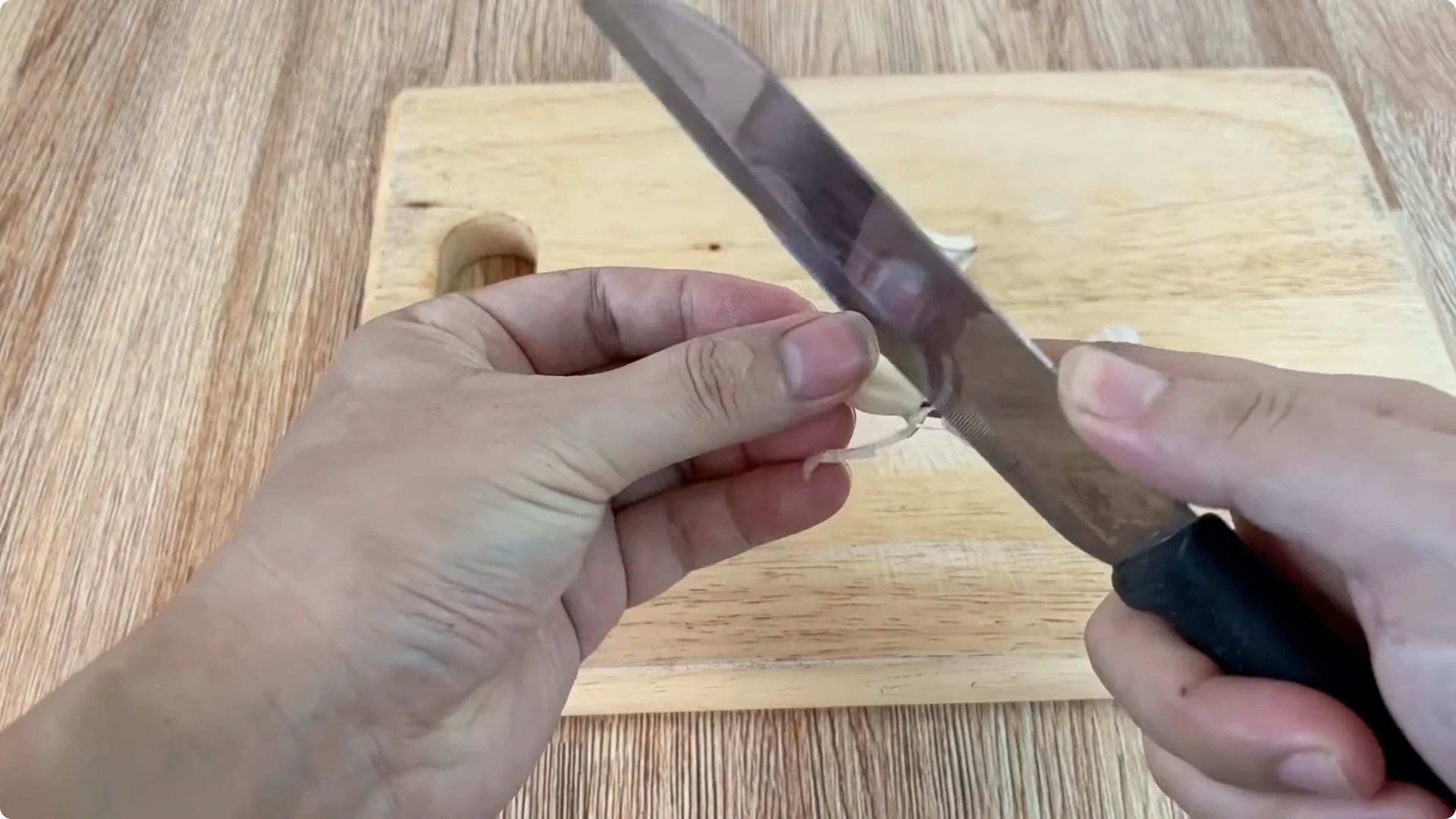 The Simple Trick That Makes Rose Propagation Effortless screenshot 4