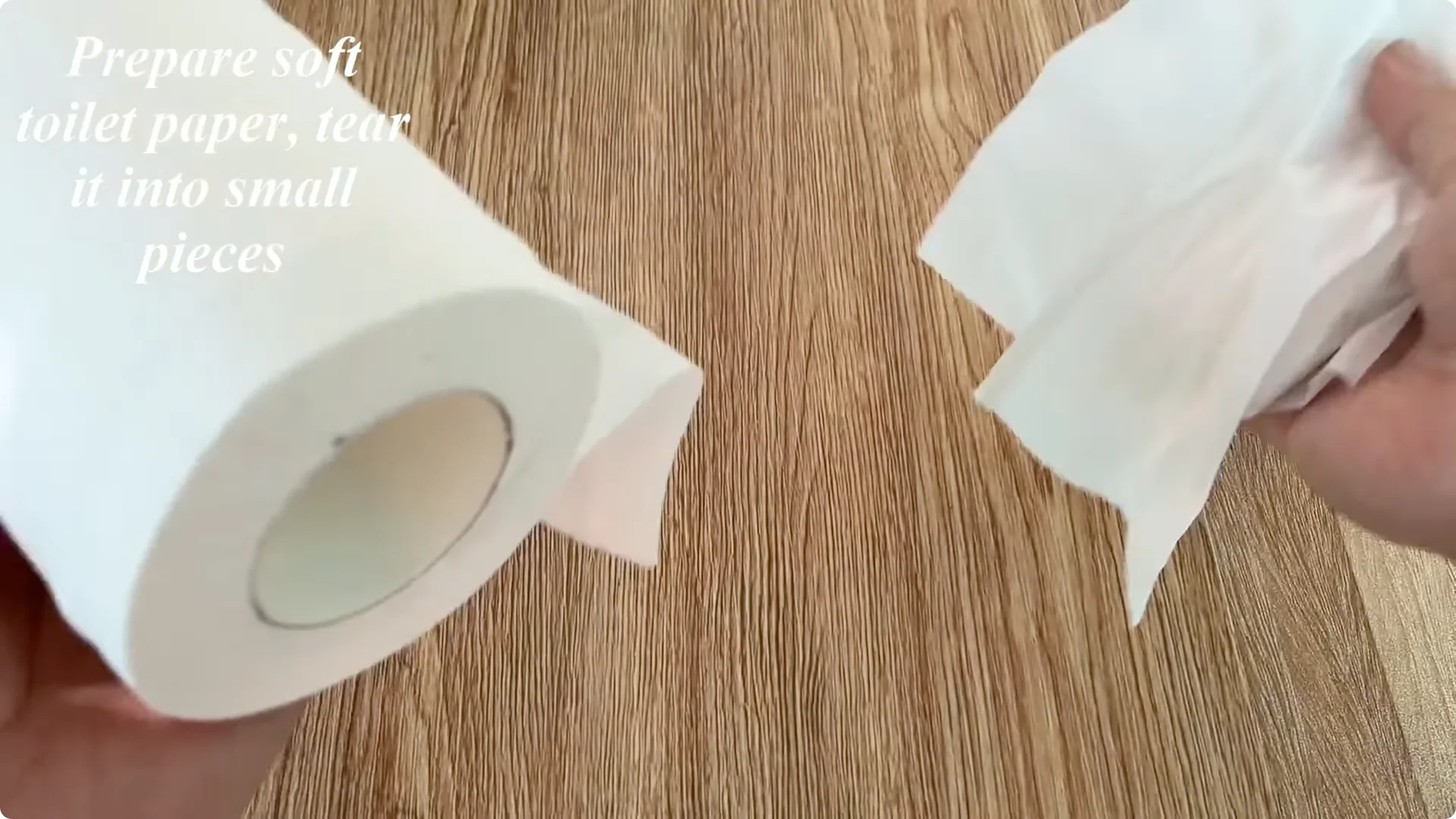 The Simple Trick That Makes Rose Propagation Effortless screenshot 8