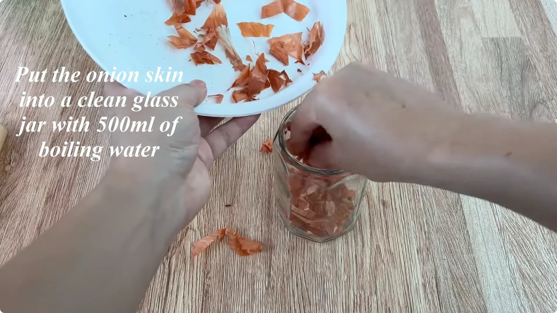 The Surprising Simple Method to Propagate Roses Easily screenshot 1