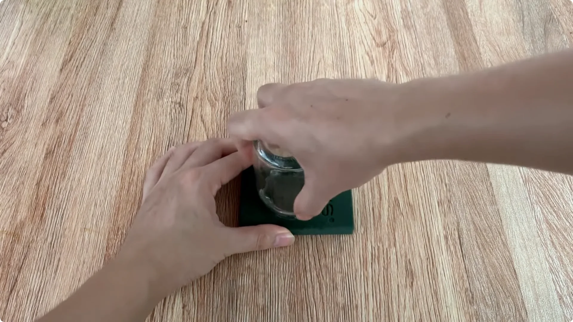 The Surprising Simple Method to Propagate Roses Easily screenshot 4