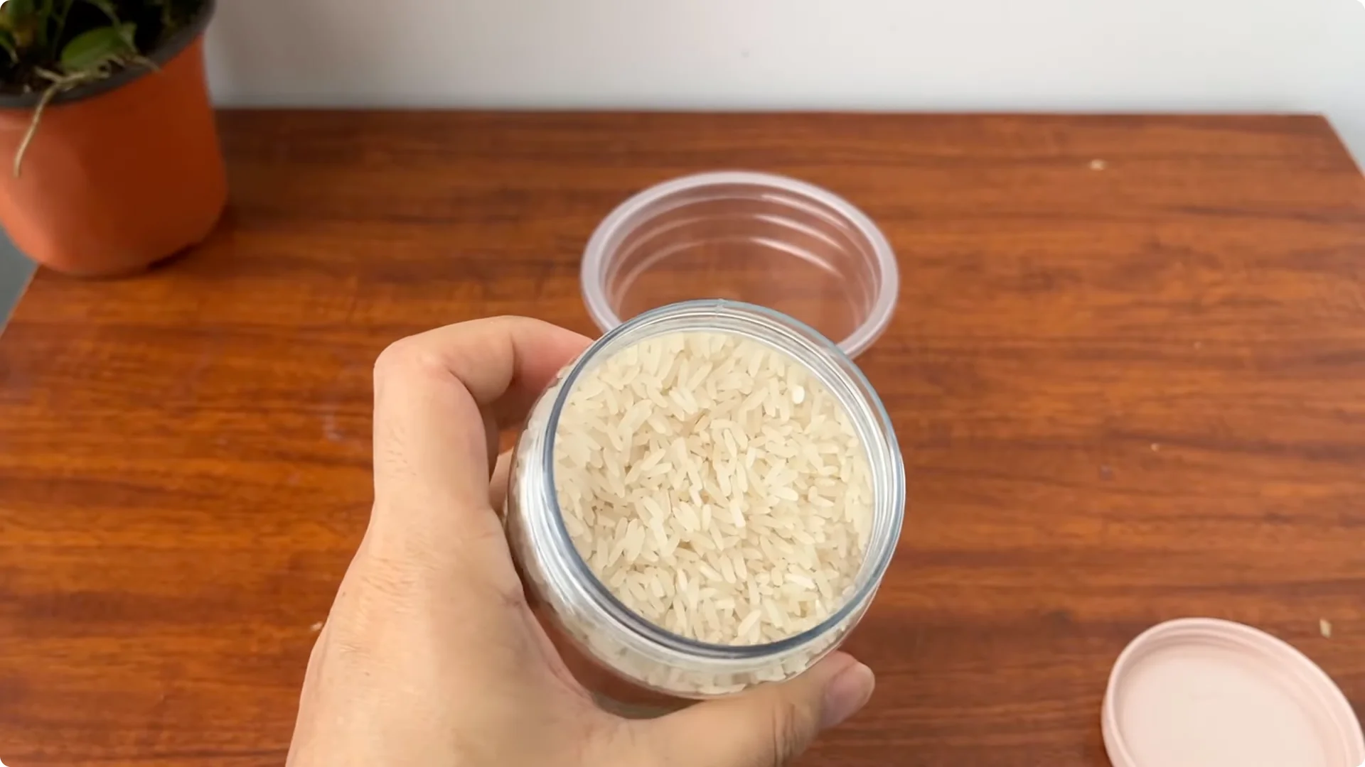 What Happens When You Pour 1 Cup on Rose Root? screenshot 5