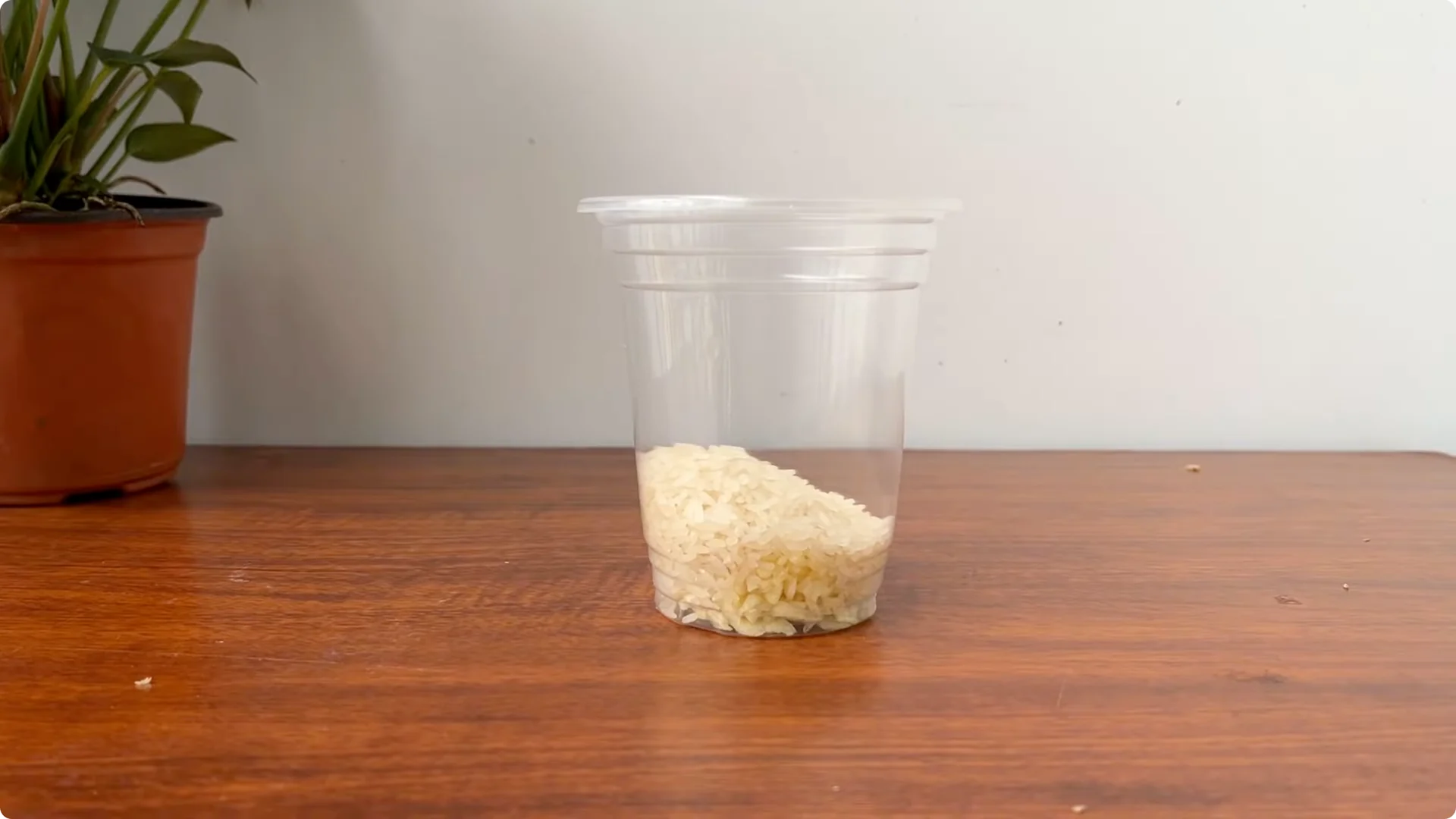 What Happens When You Pour 1 Cup on Rose Root? screenshot 6