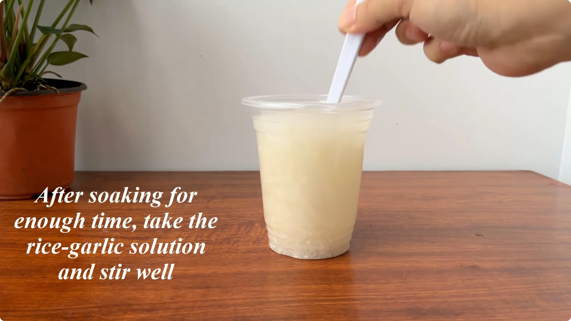 What Happens When You Pour 1 Cup on Rose Root? screenshot 7