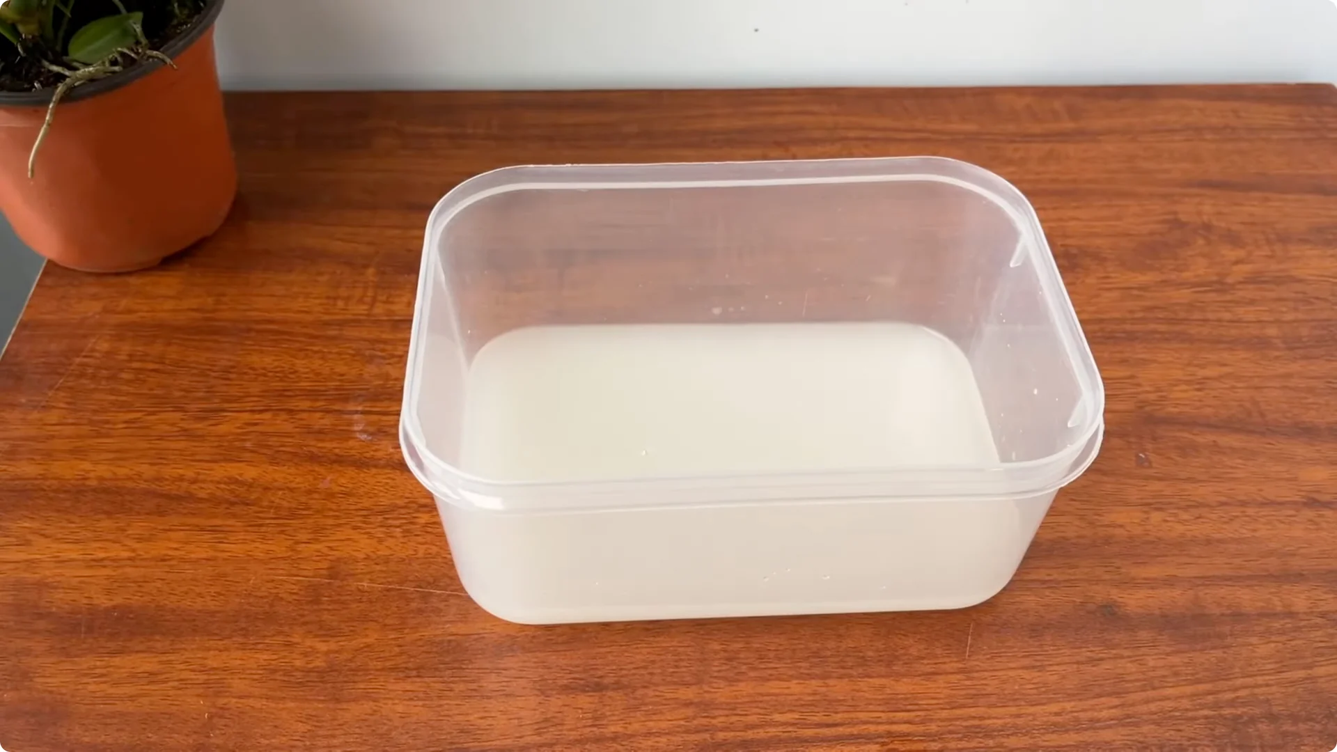 What Happens When You Pour 1 Cup on Rose Root? screenshot 8