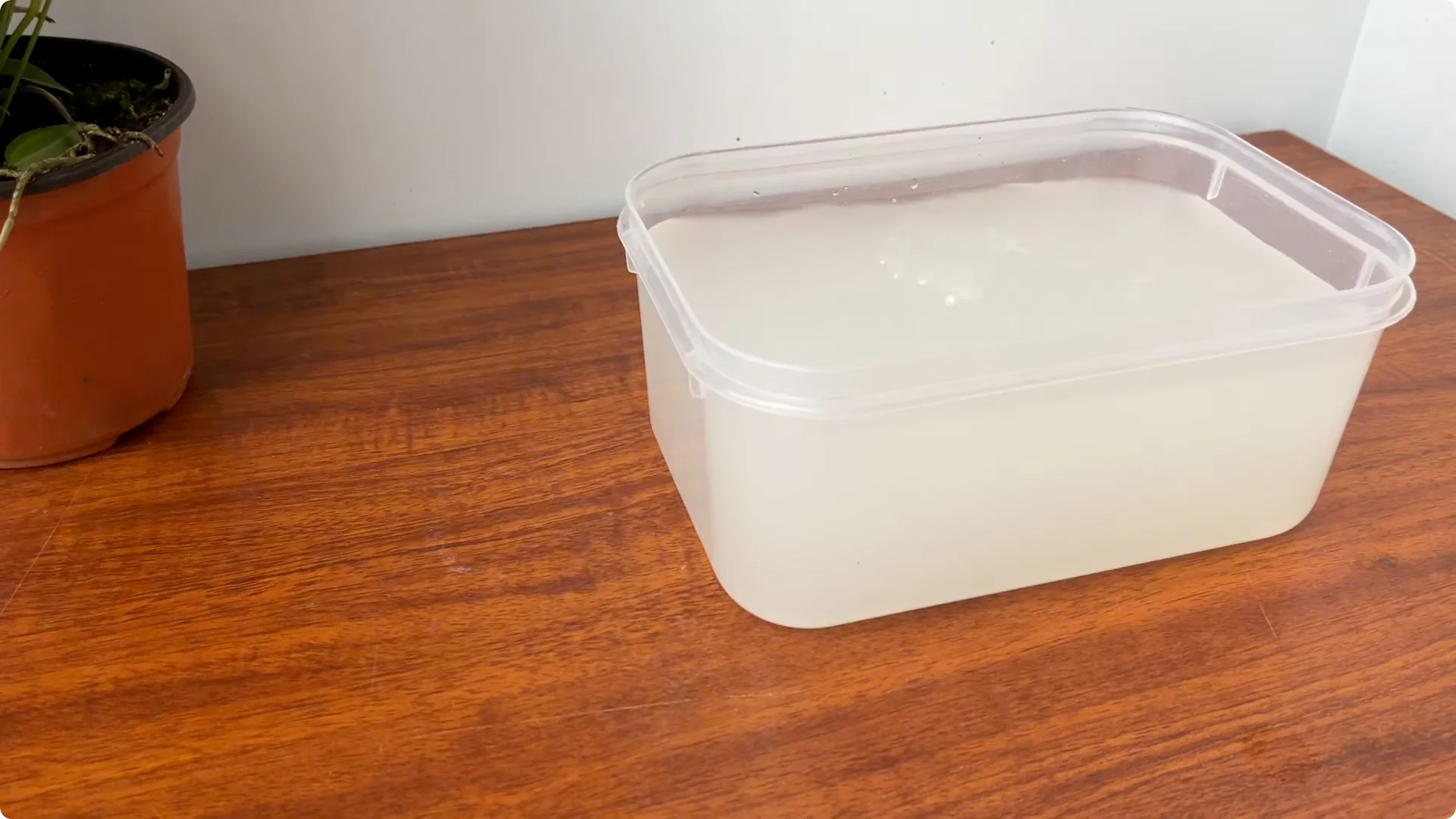 What Happens When You Pour 1 Cup on Rose Root? screenshot 9