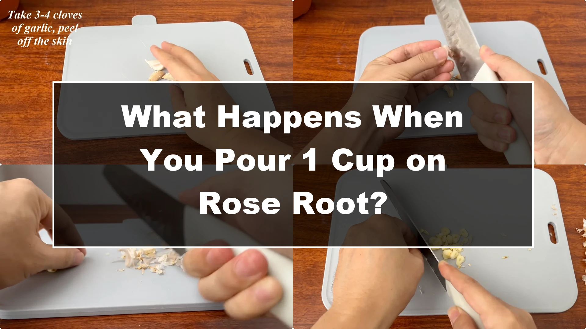 What Happens When You Pour 1 Cup on Rose Root? - Featured Image