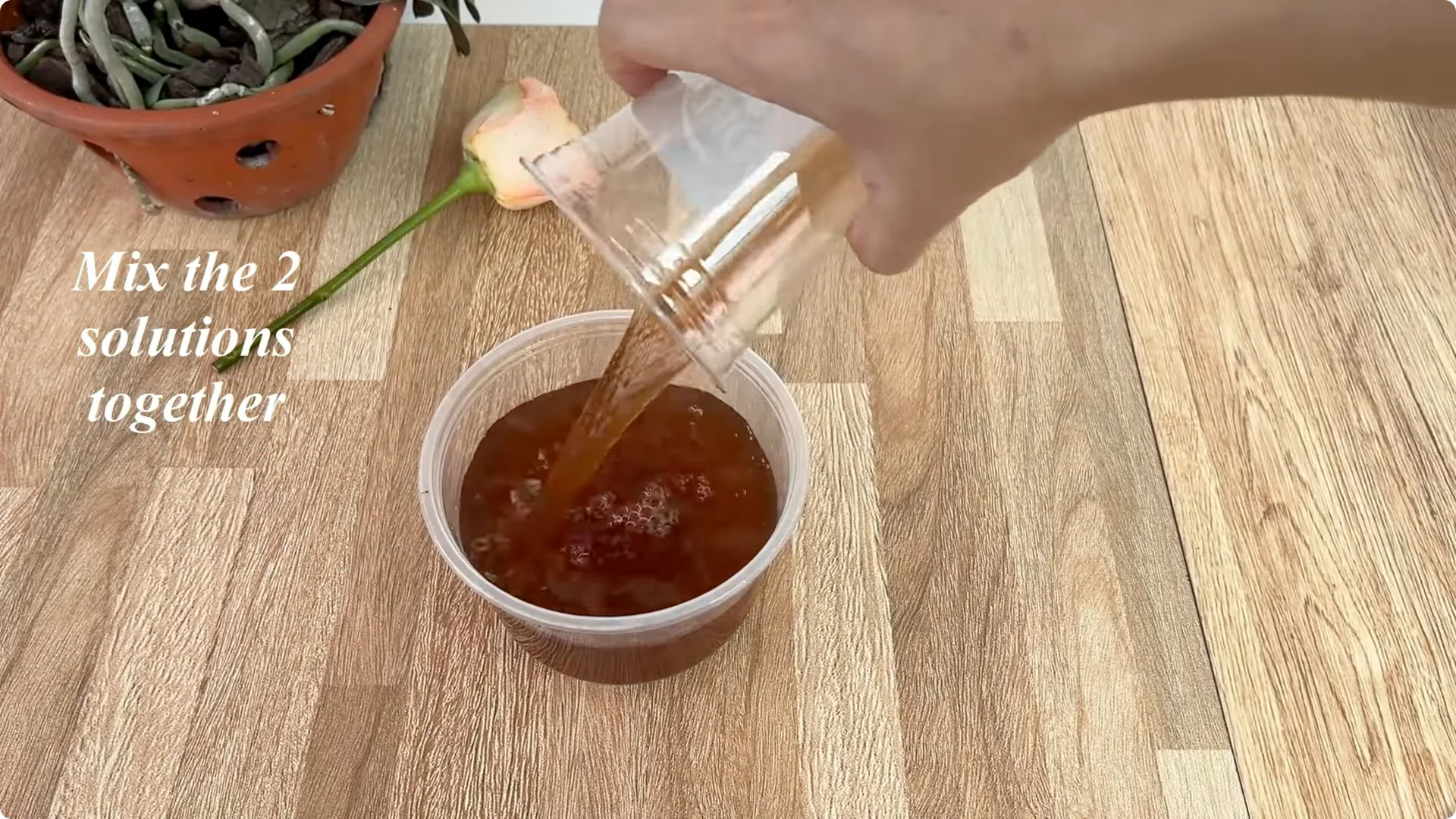 Why Any Rose Branch Can Root and Grow Much Faster screenshot 10